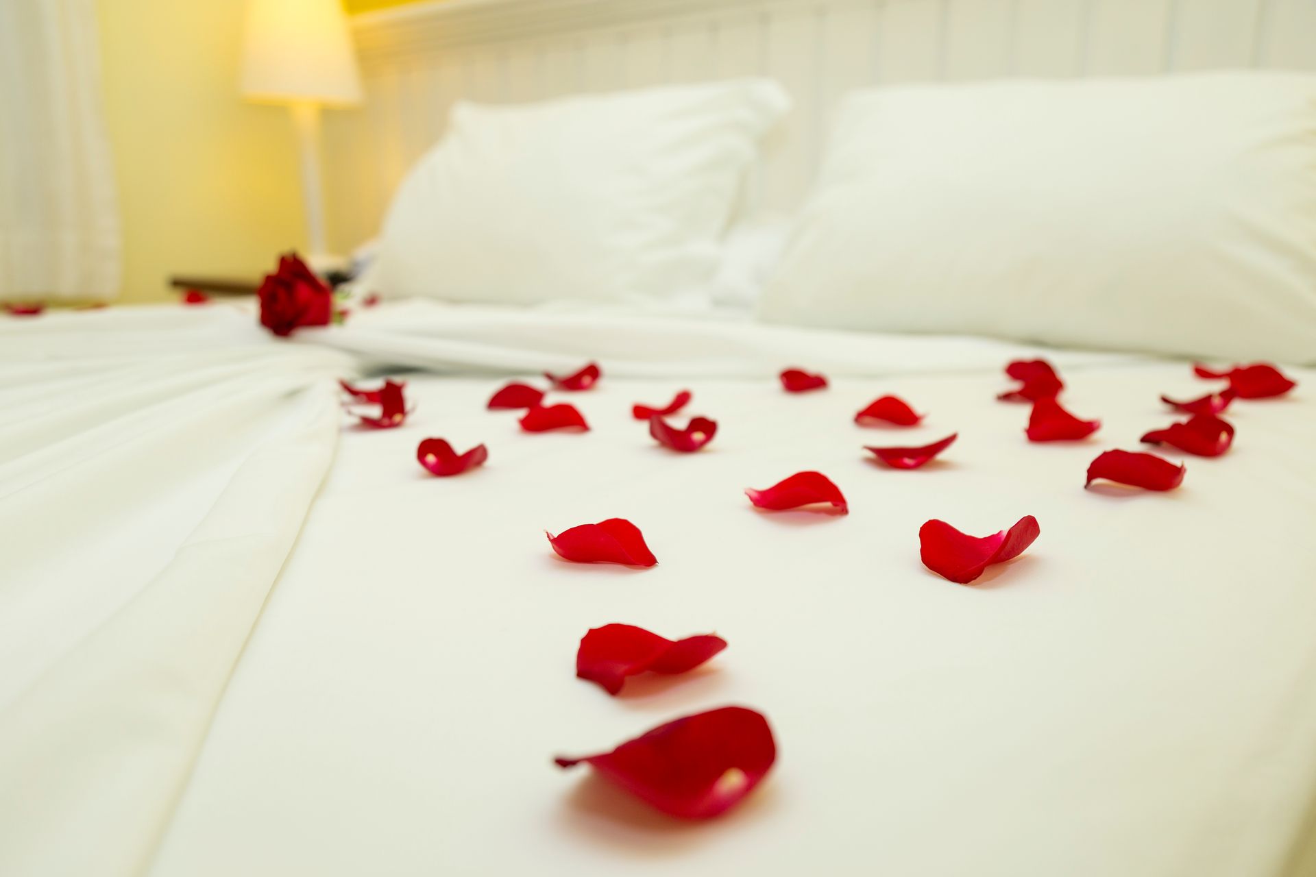 Cama coberta com pétalas de rosas vermelhas e um abajur com luz suave ao fundo.