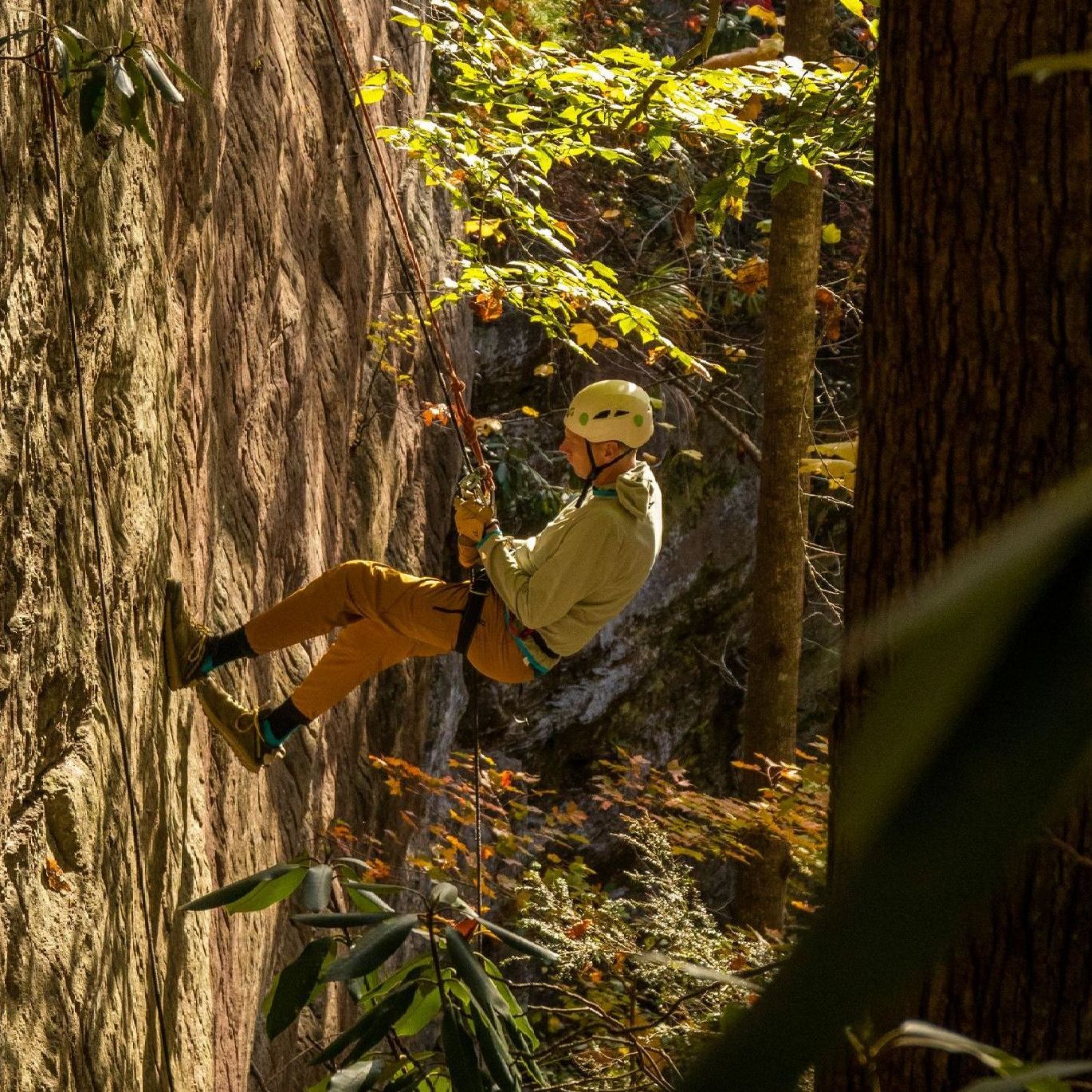 All Services | Southeast Mountain Guides