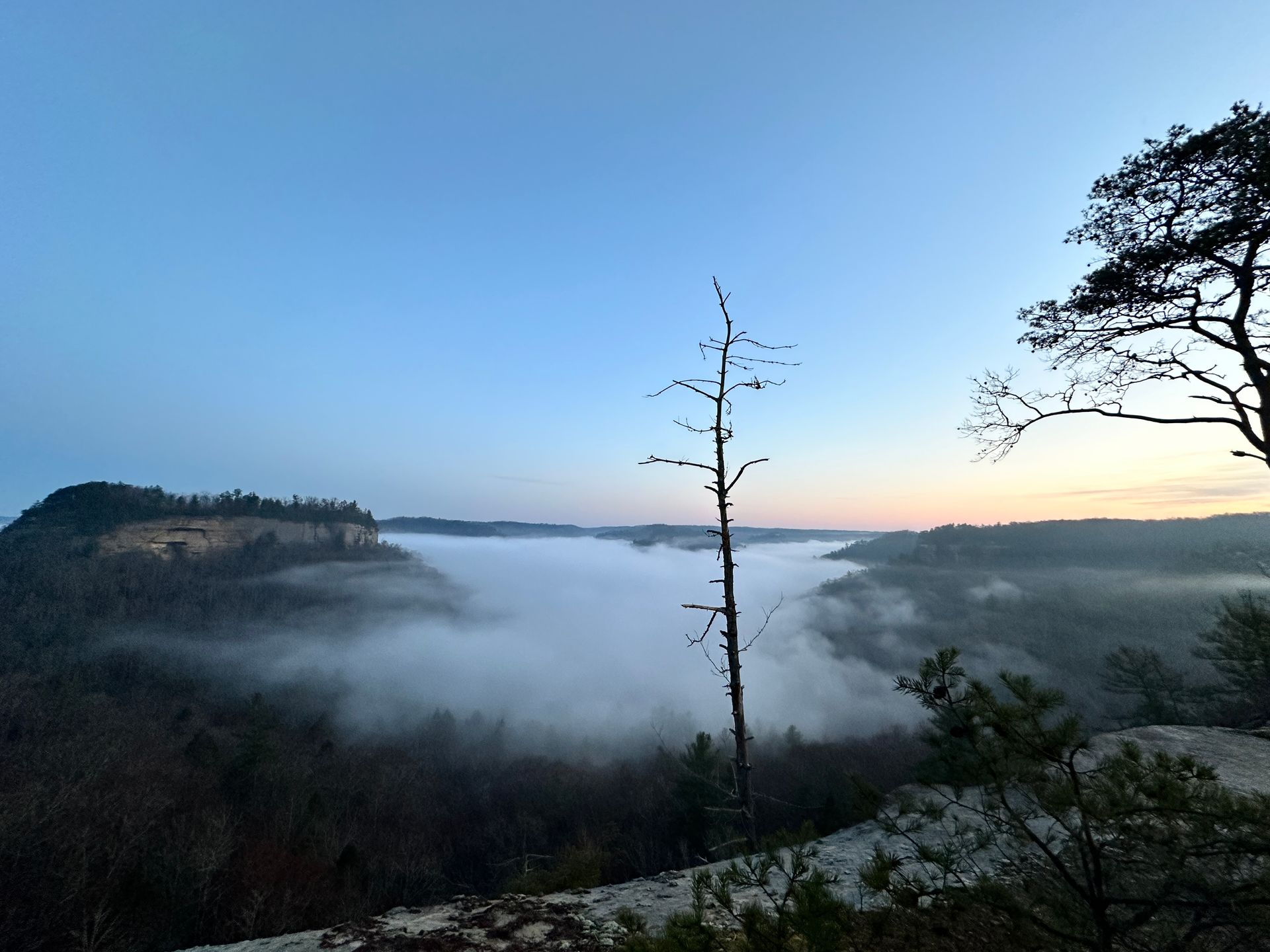 red river gorge guide to scenic overlooks