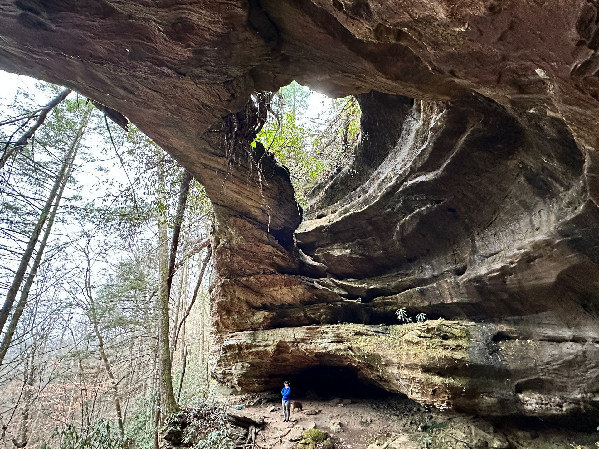 Hiker standing beneath a large natural sandstone arch in the Red River Gorge Kentucky on a sunny day
