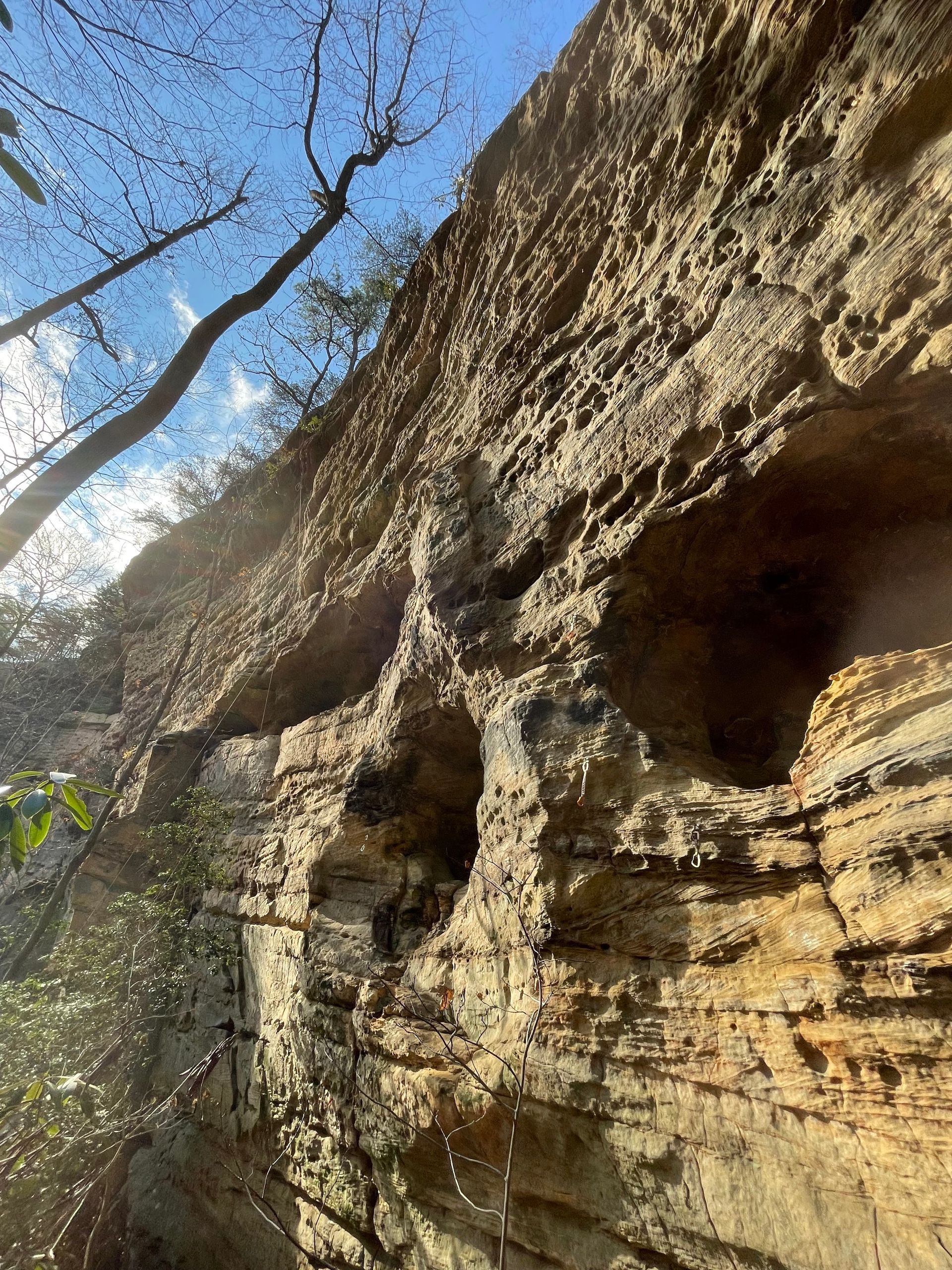Huecos at the new Red River Gorge crag  Earth Science in Cave Fork Recreational Preserve