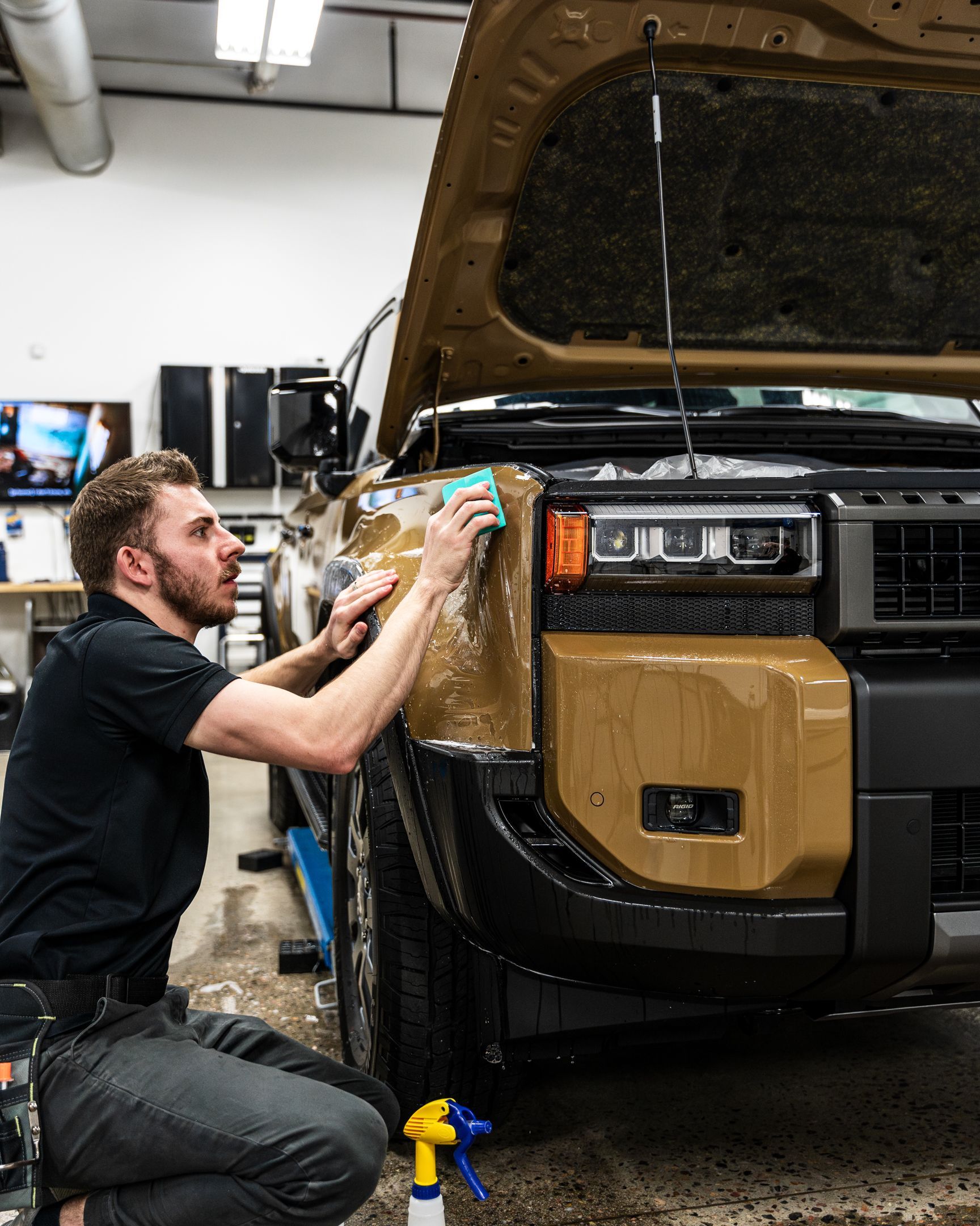 meticulous paint protection film service