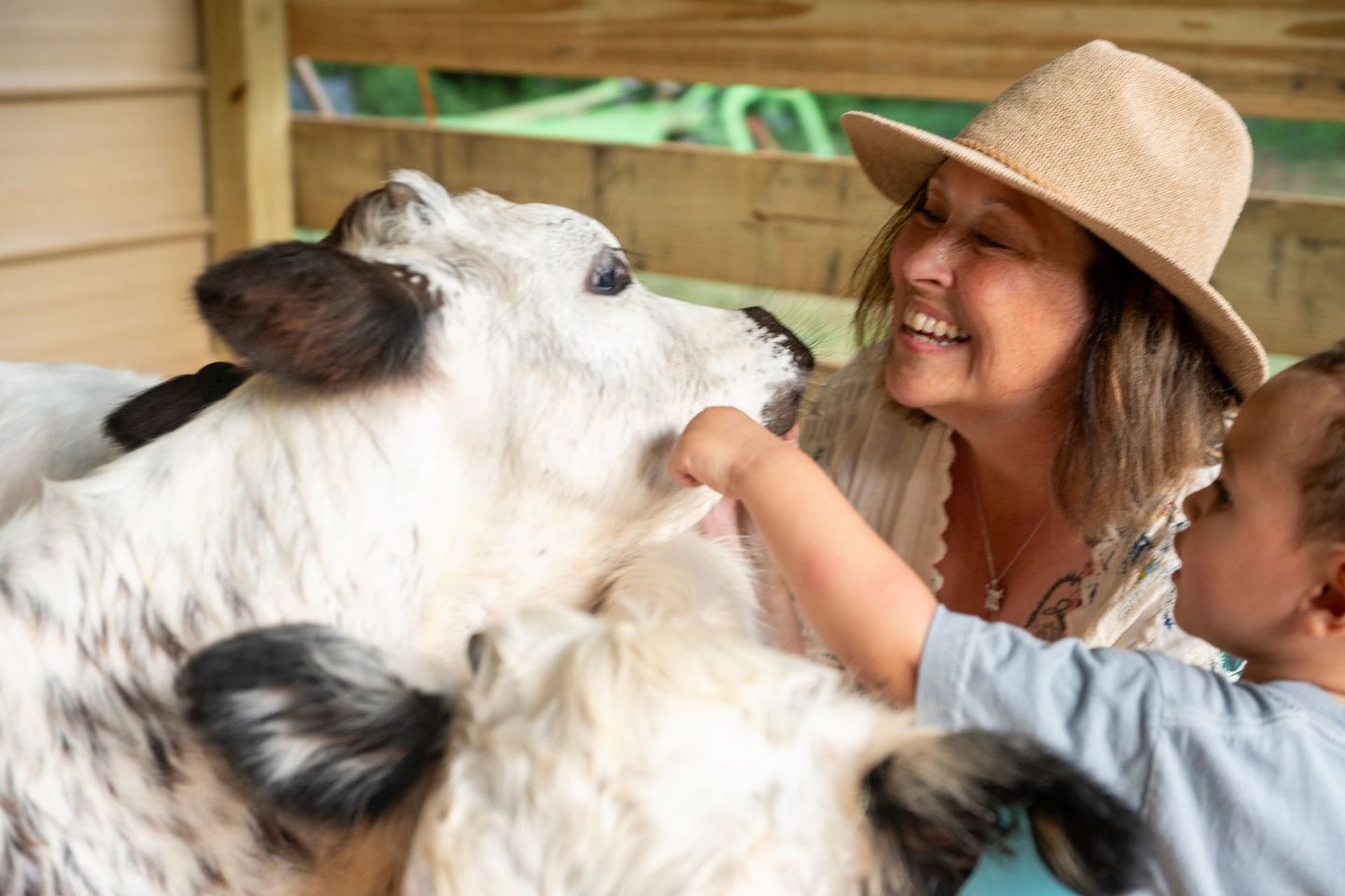 women and toddler playing with two highpark cows in anderson, sc. 