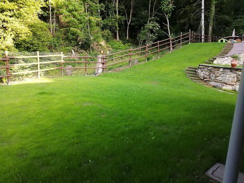 Un prato verde brillante accanto a una recinzione di legno e a scalini di pietra in un giardino alberato.
