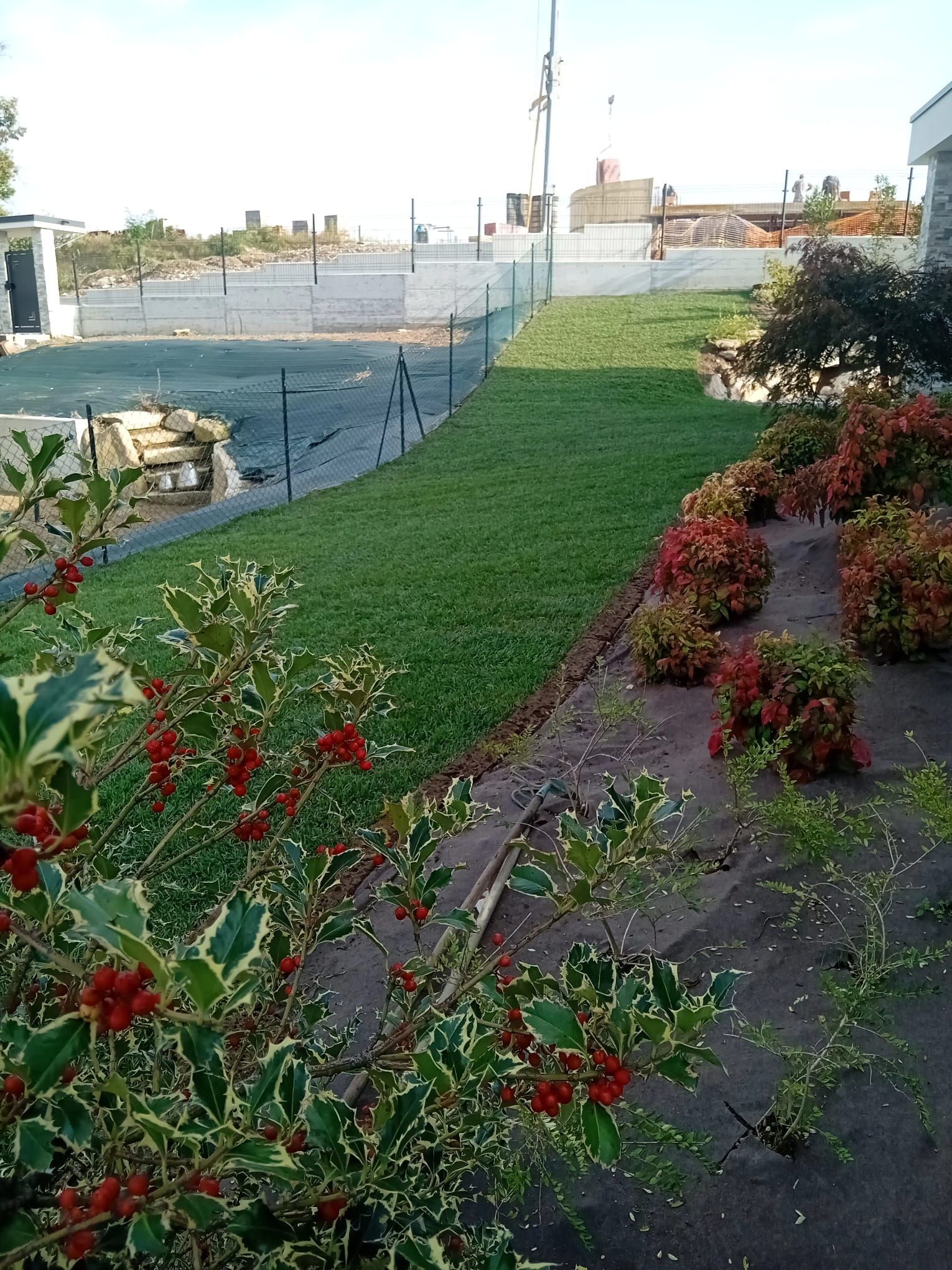 Sentiero paesaggistico del giardino accanto a un campo da tennis recintato al tramonto