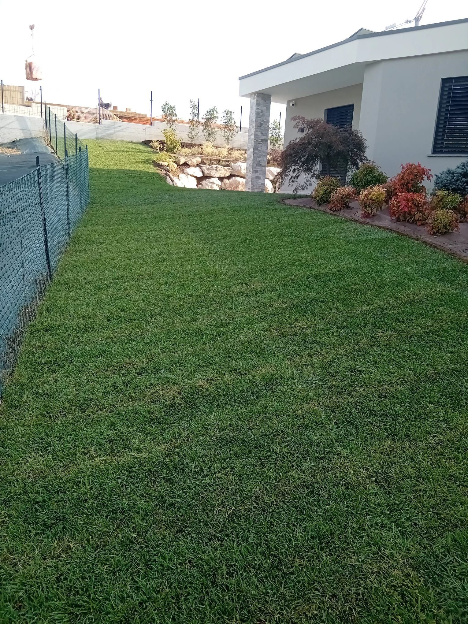 Un prato verde accanto a una casa con una recinzione a rete metallica e arbusti ben curati lungo il vialetto.