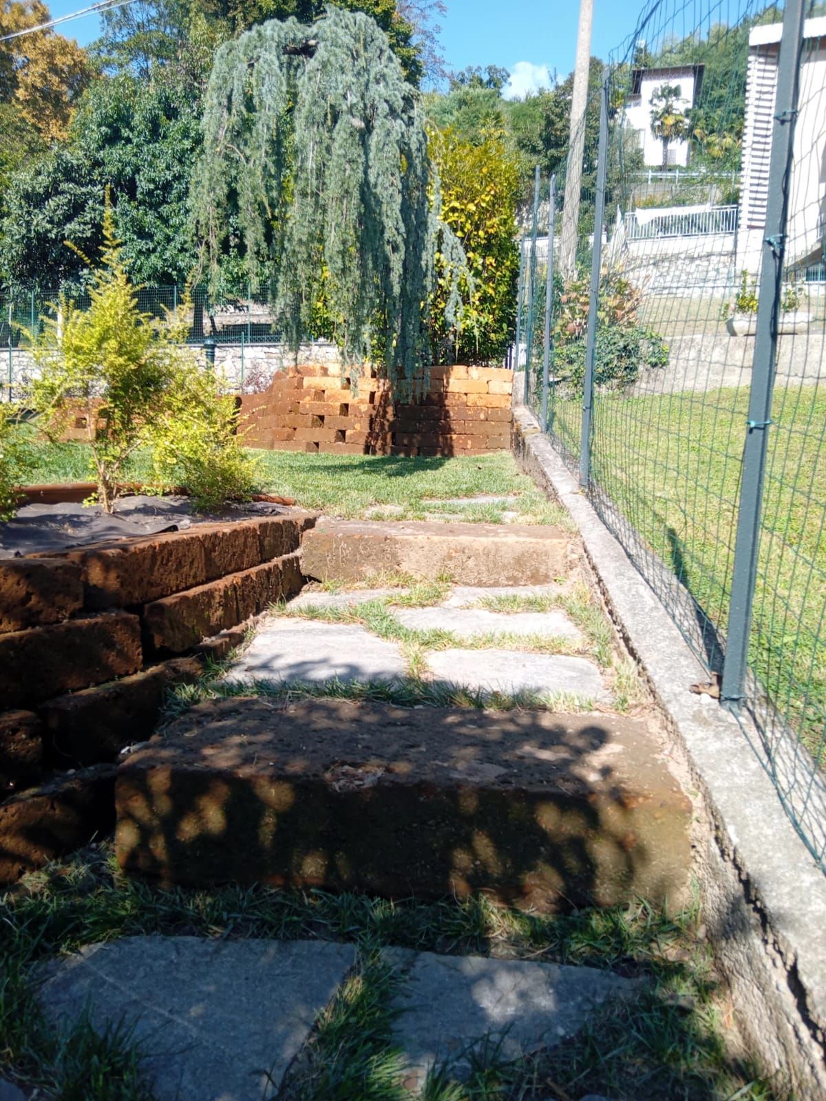 Sentiero soleggiato in giardino con scalini in pietra, un albero piangente e una recinzione di filo spinato sul lato destro.