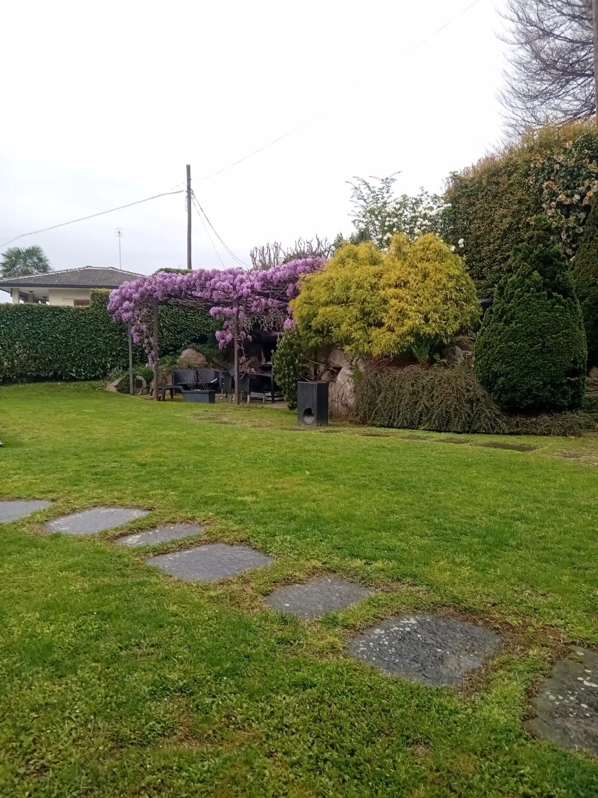 Giardino sul retro con prato, sentiero di pietra, fiori viola e arbusti sotto un cielo nuvoloso.