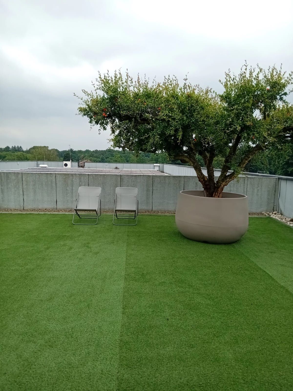 Terrazza sul tetto con erba artificiale, due sedie e un grande albero in vaso sotto un cielo nuvoloso.