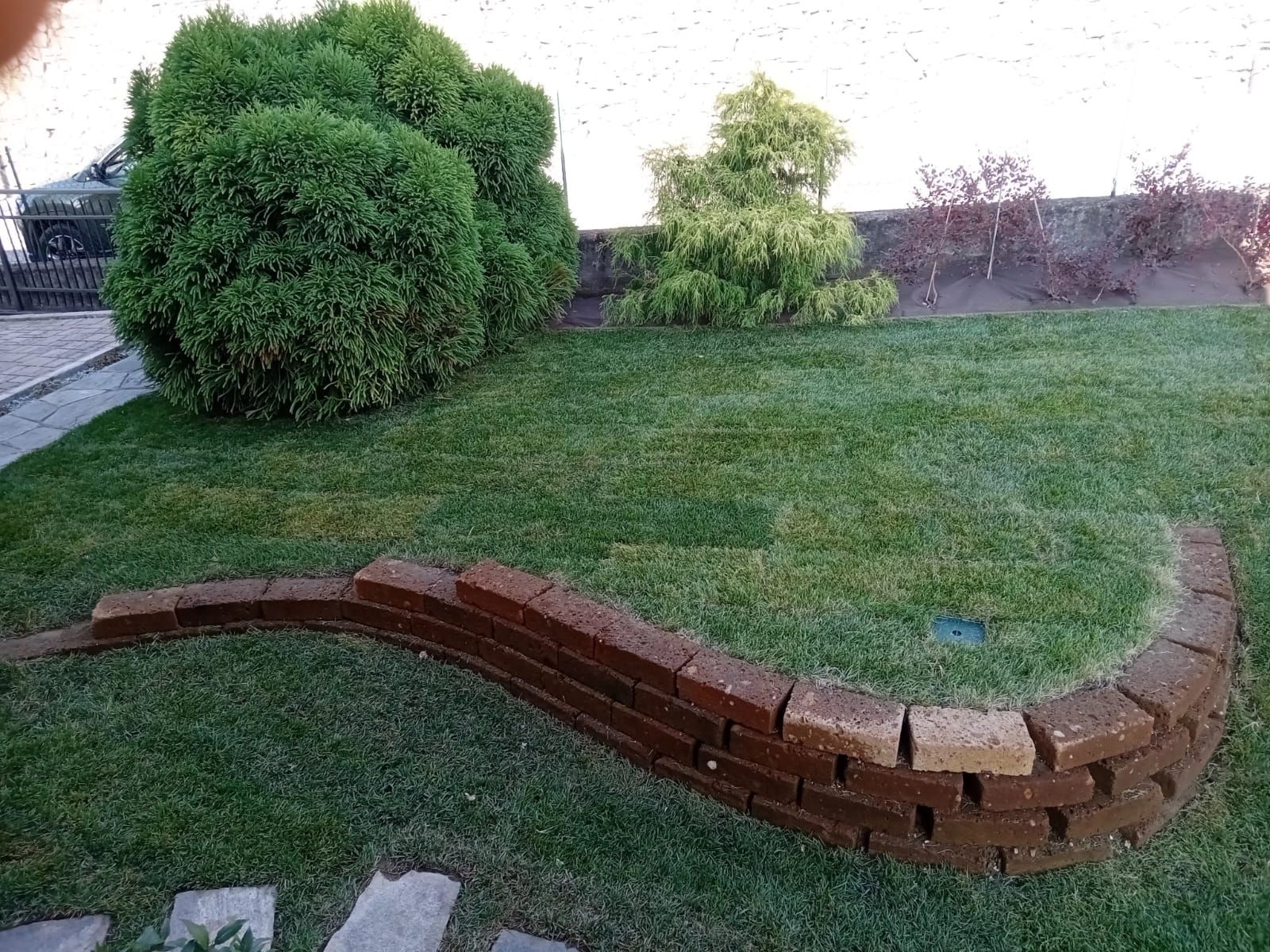 Bordo da giardino curvo in mattoni che delimita un prato erboso con arbusti sullo sfondo.