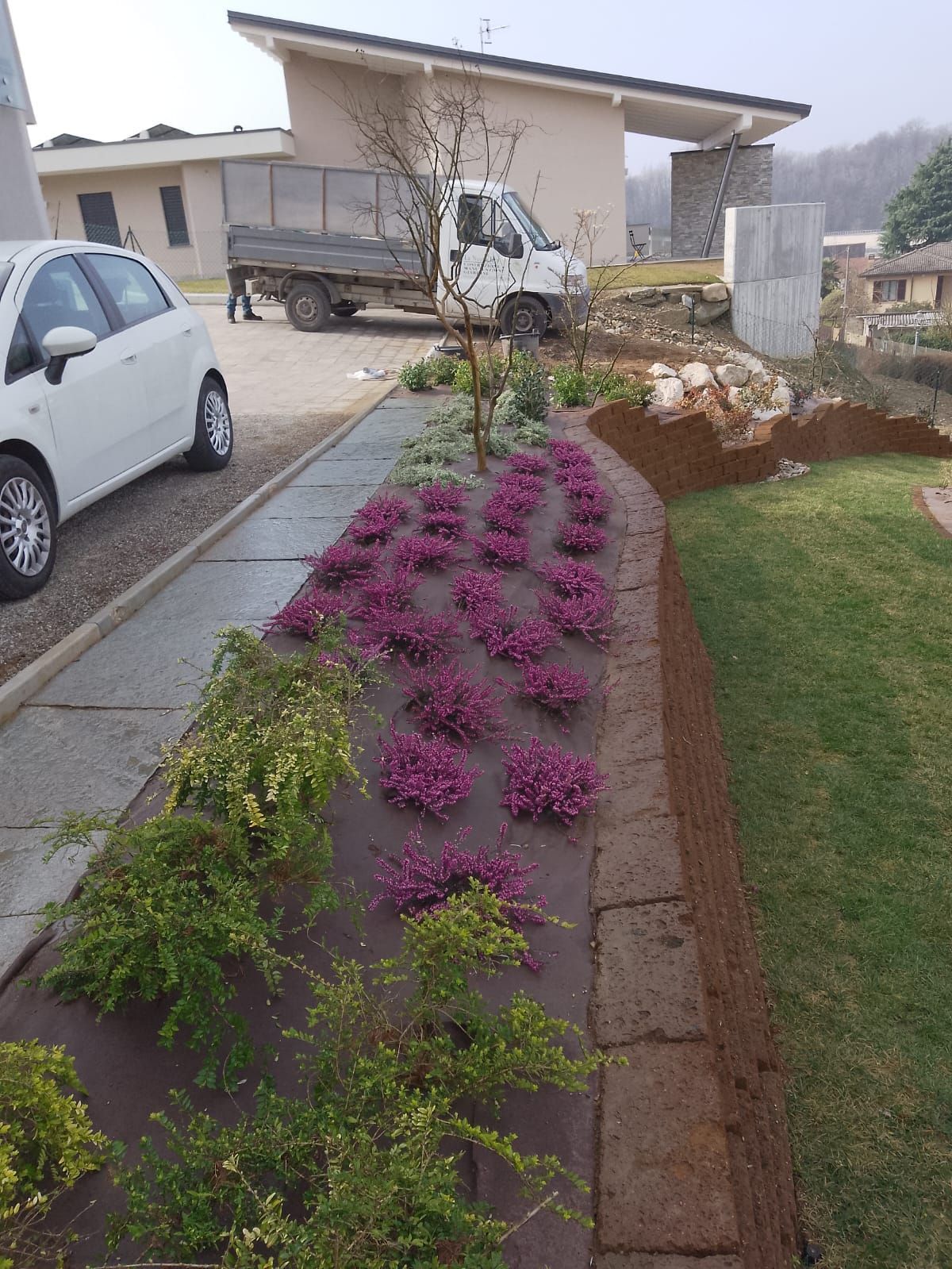Giardino anteriore residenziale con fiori viola lungo un vialetto accanto ad auto parcheggiate e una casa