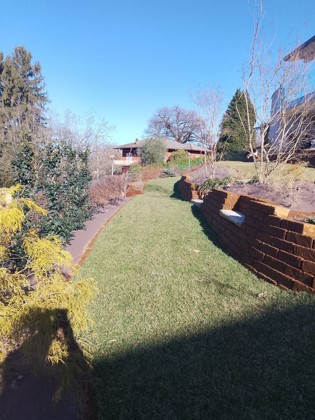 Un cortile soleggiato con prato, arbusti e un muro di contenimento in mattoni sotto un cielo azzurro e limpido.