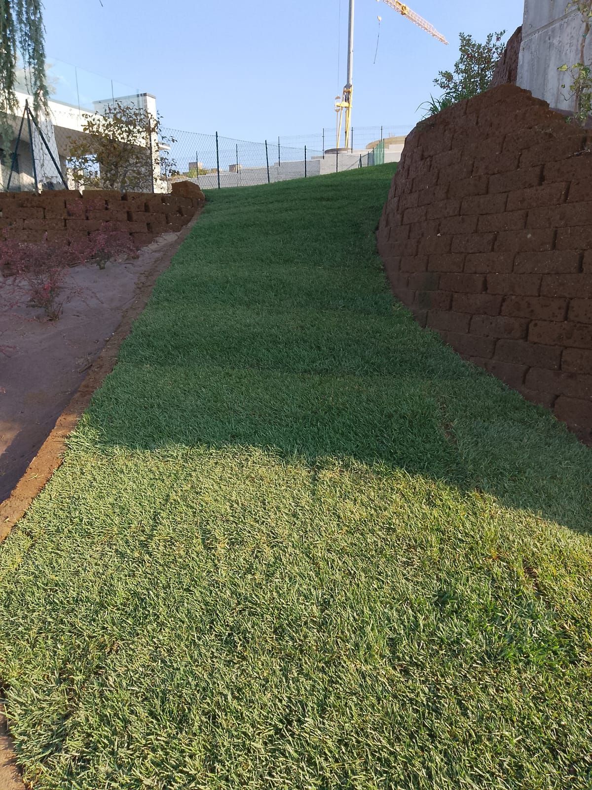 Sentiero erboso tra muri di contenimento in pietra su un pendio soleggiato, con attrezzature da cantiere sullo sfondo.
