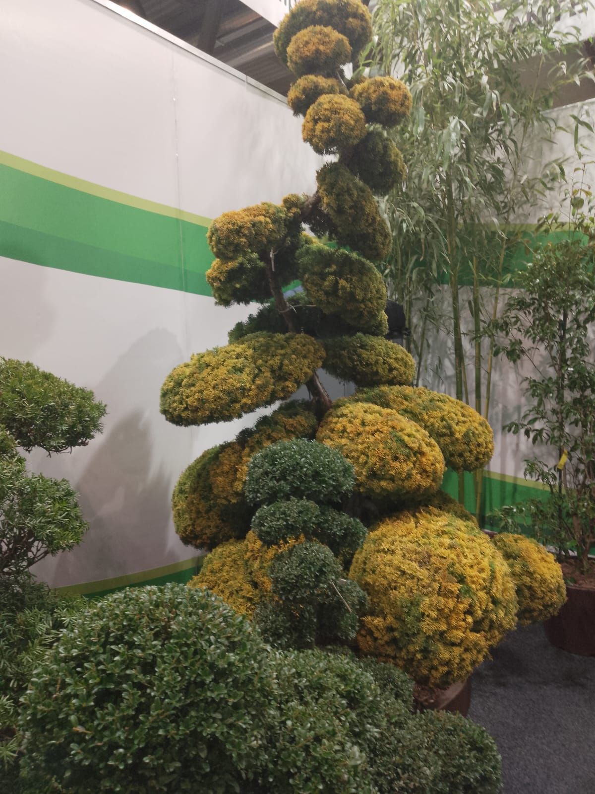 Scultura topiaria composta da sfere di fiori gialle e verdi sovrapposte, accanto a un muro a strisce verdi e piante.