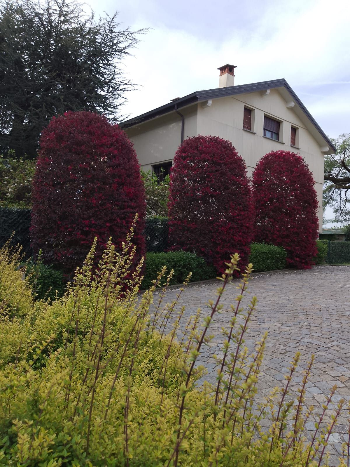 Casa con arbusti rossi e fiori gialli accanto a un vialetto di ghiaia.