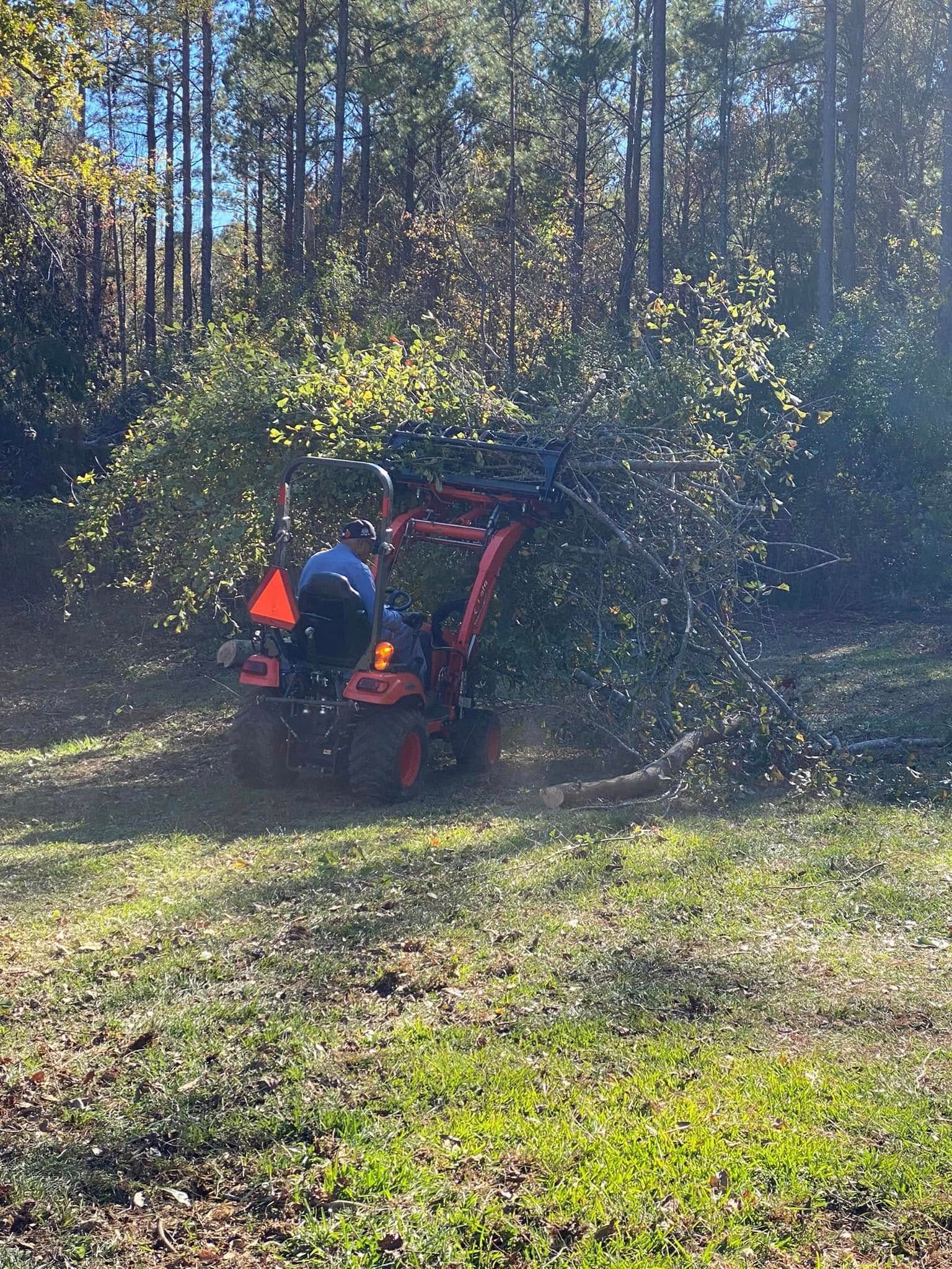 Person operating an orange tractor lifting tree branches in a grassy area with trees in the background.