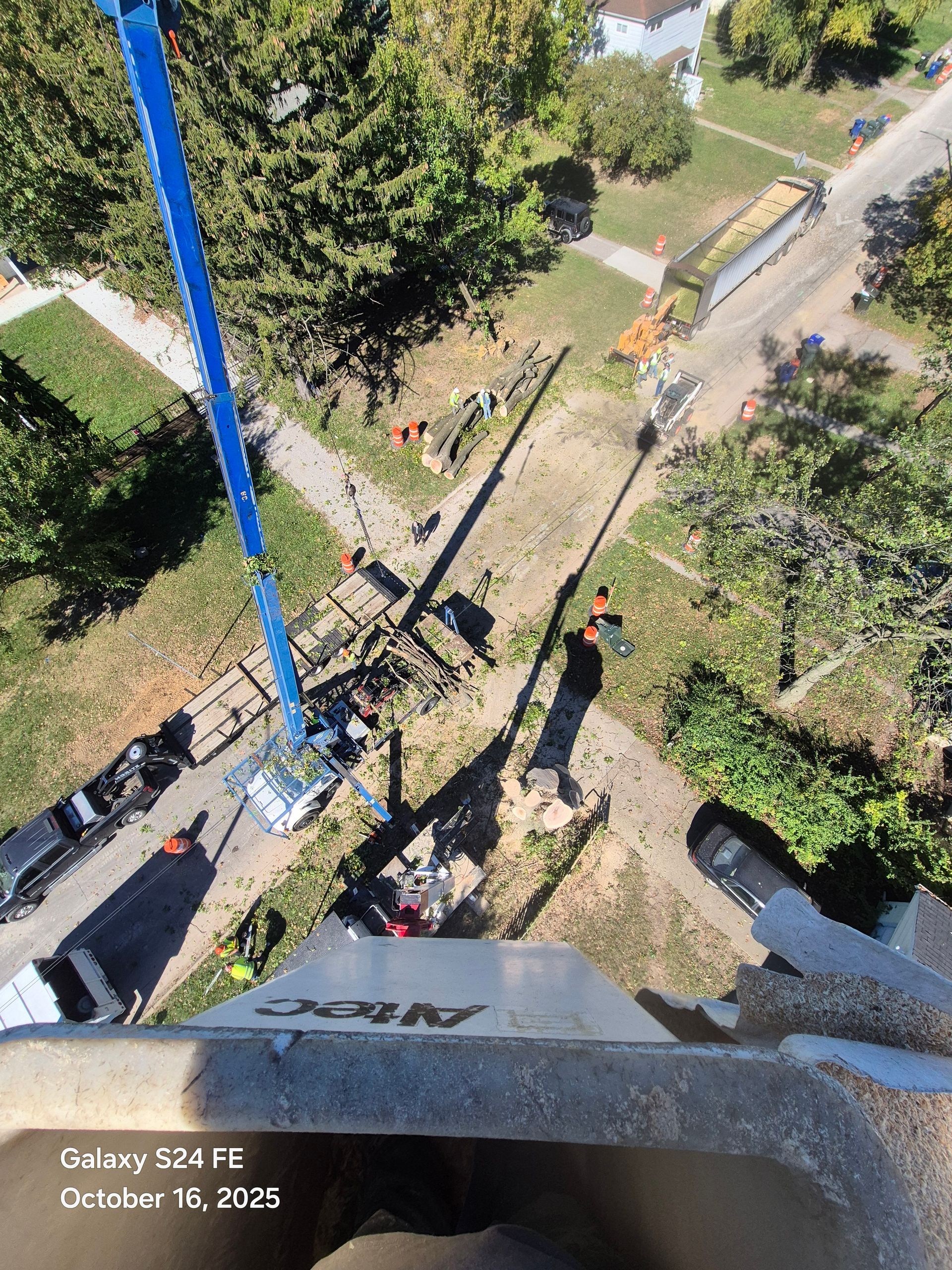 Aerial view of tree removal in progress; blue lift, workers, road, fallen branches, and vehicles.