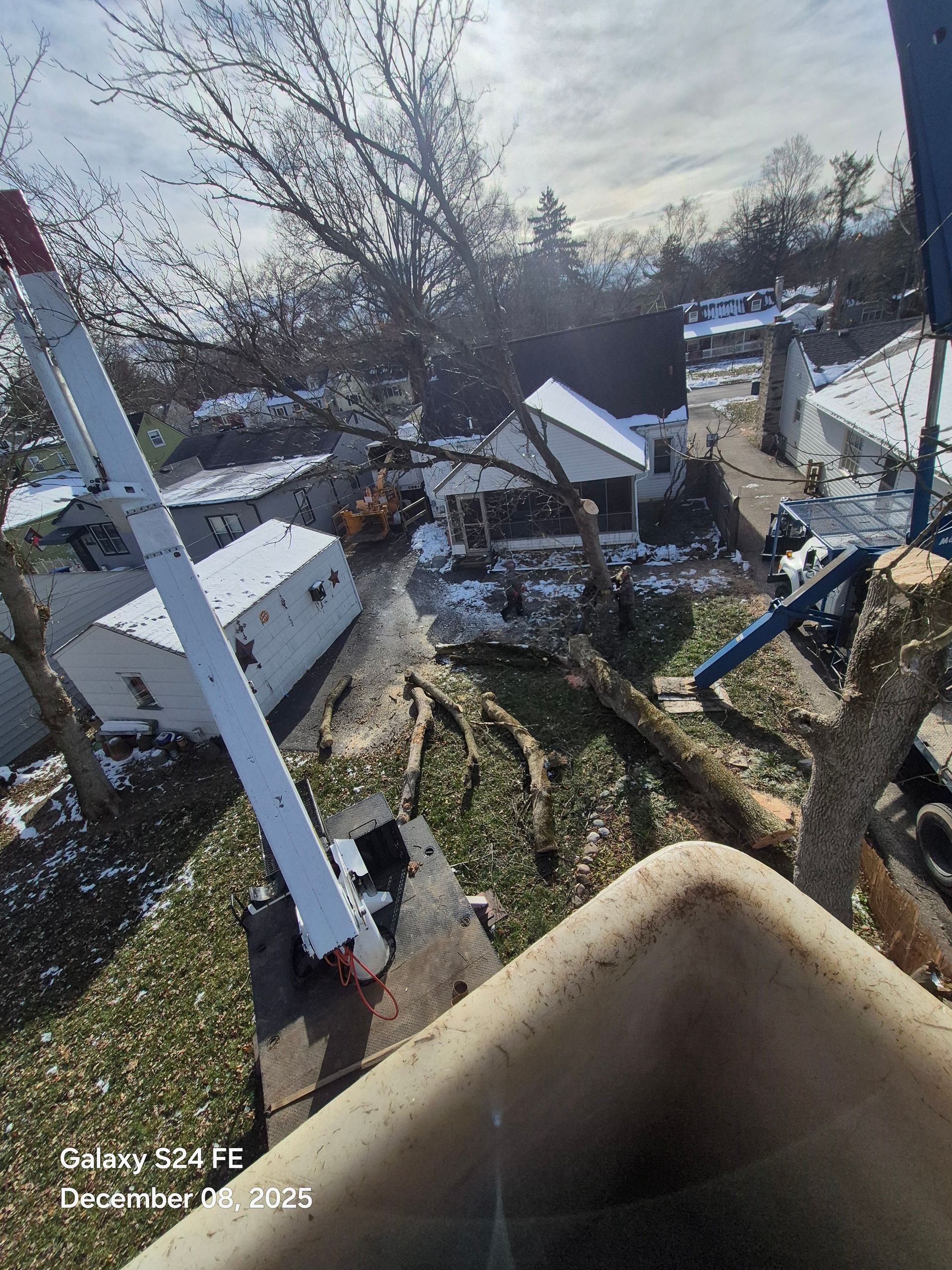 View from a lift bucket of a tree removal site with cut limbs, a residential neighborhood, and a snowy landscape.