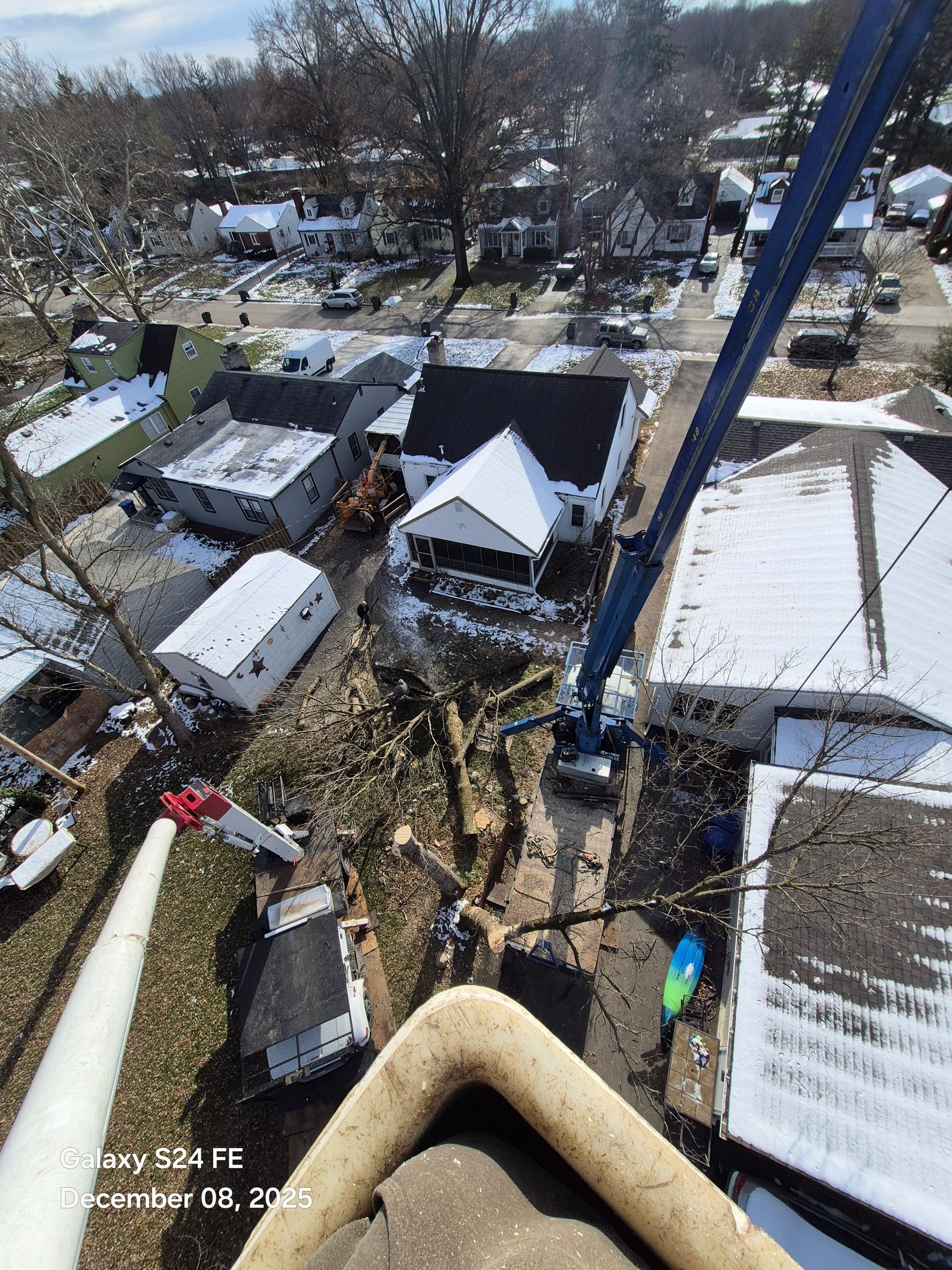 Overhead view of tree removal in a residential area; crane and cut branches visible on a snowy day.