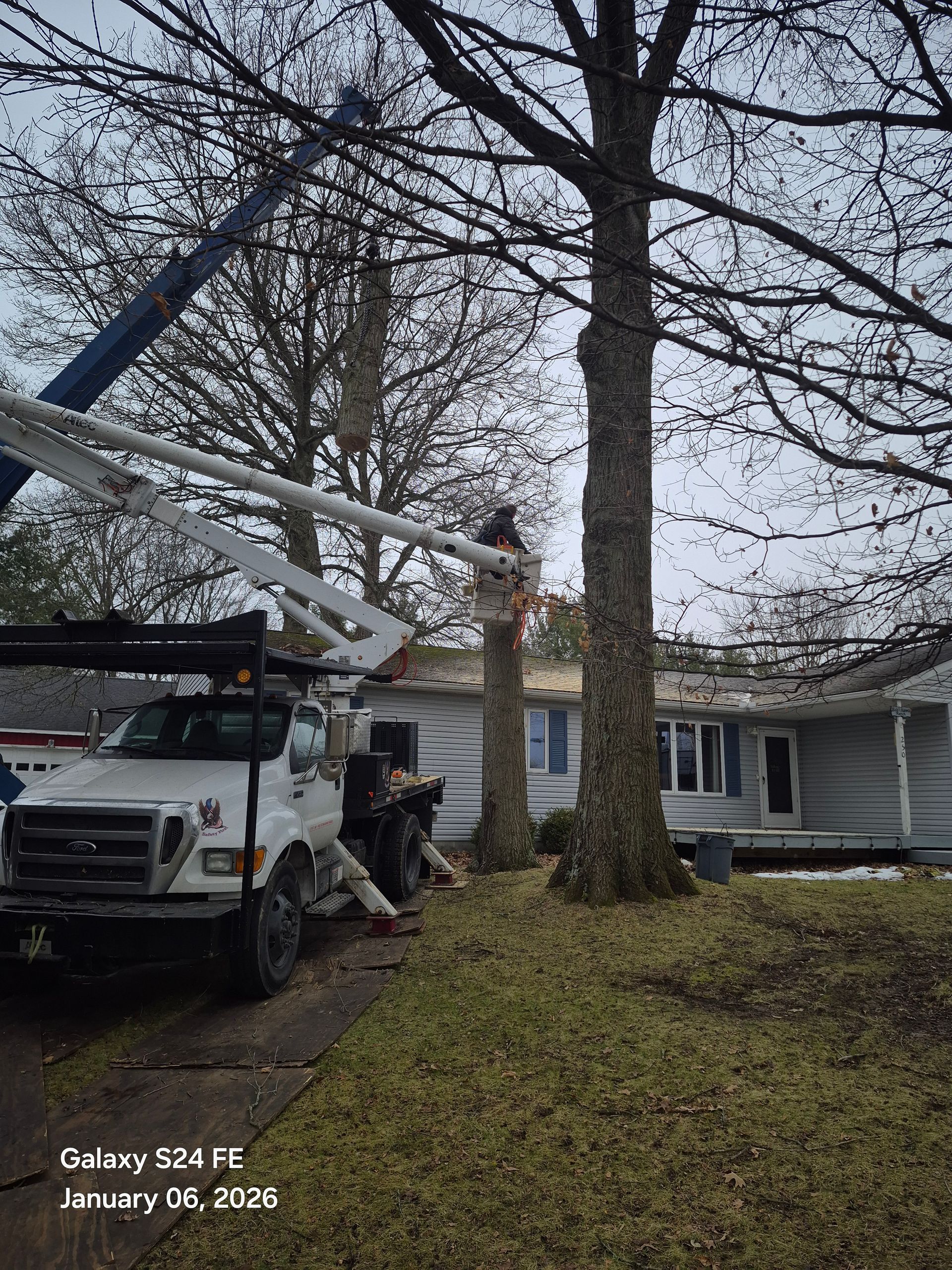 Tree trimmers in a lift truck prune a tree near a house.