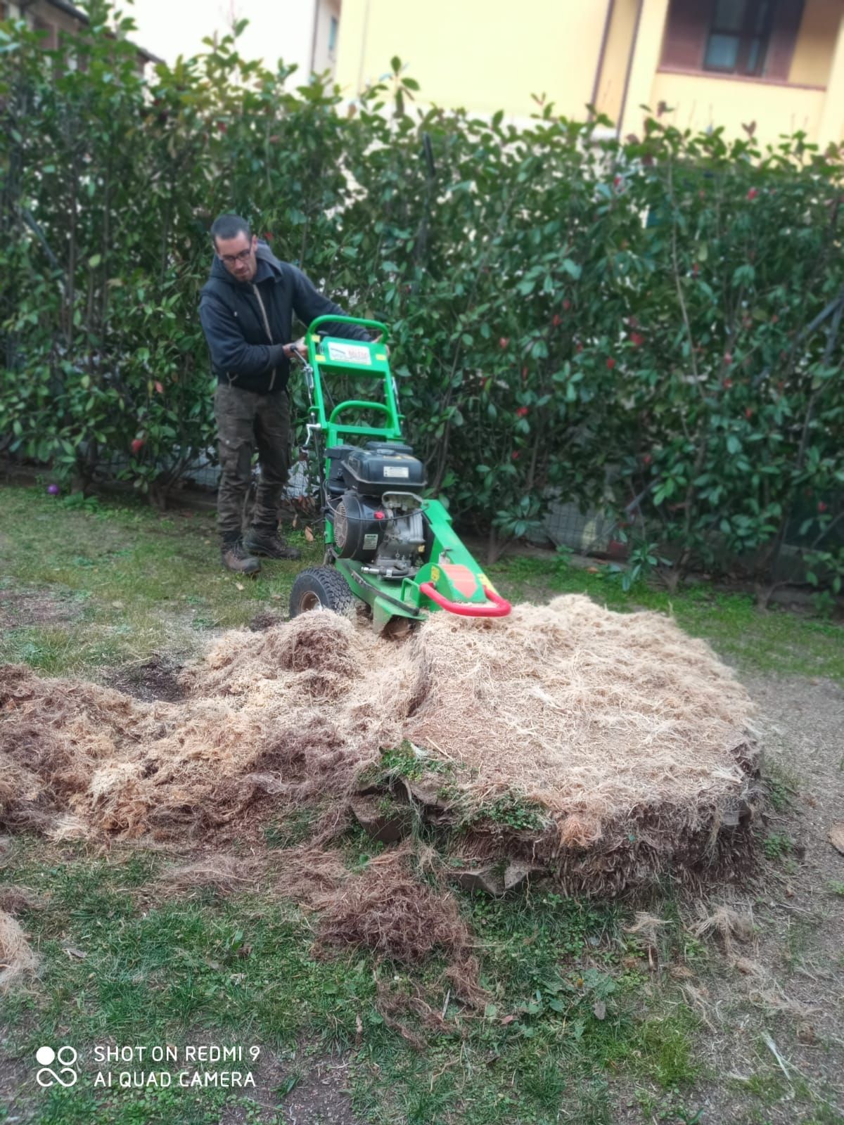 Una persona utilizza una fresa per ceppi di colore verde brillante per rimuovere un ceppo d'albero in un giardino, lasciando un mucchio di trucioli di legno.