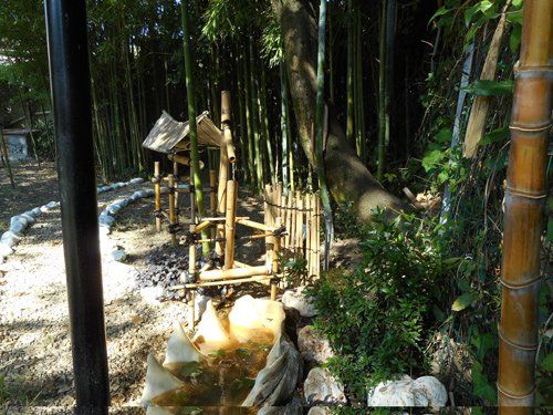 Una struttura in legno e bambù con un piccolo tetto si erge vicino a un sentiero fiancheggiato da pietre bianche in una lussureggiante foresta di bambù.