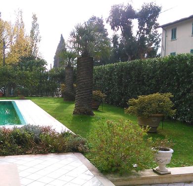 Una piscina costeggia un prato verde con arbusti in vaso, palme e un'alta siepe vicino a un edificio.