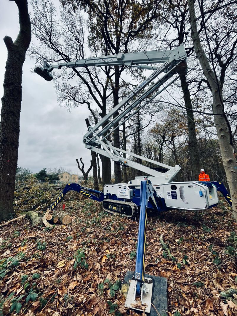 A crane is sitting in the middle of a forest.