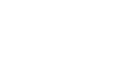 Stylized eagle head, black outline, facing right.