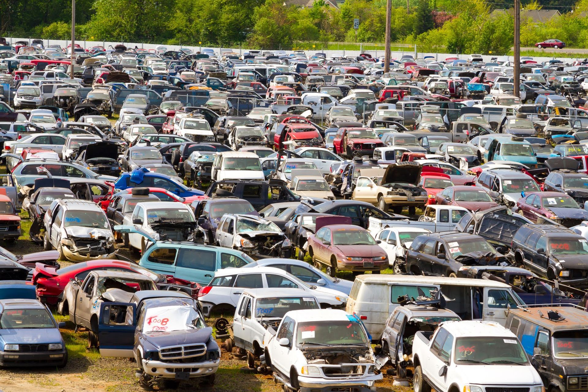 Vehicle Junk Yard — Kearny, NJ — Bibbs Auto Recycling