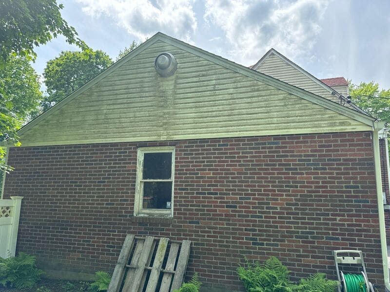 Brick house exterior with green algae on siding and window.