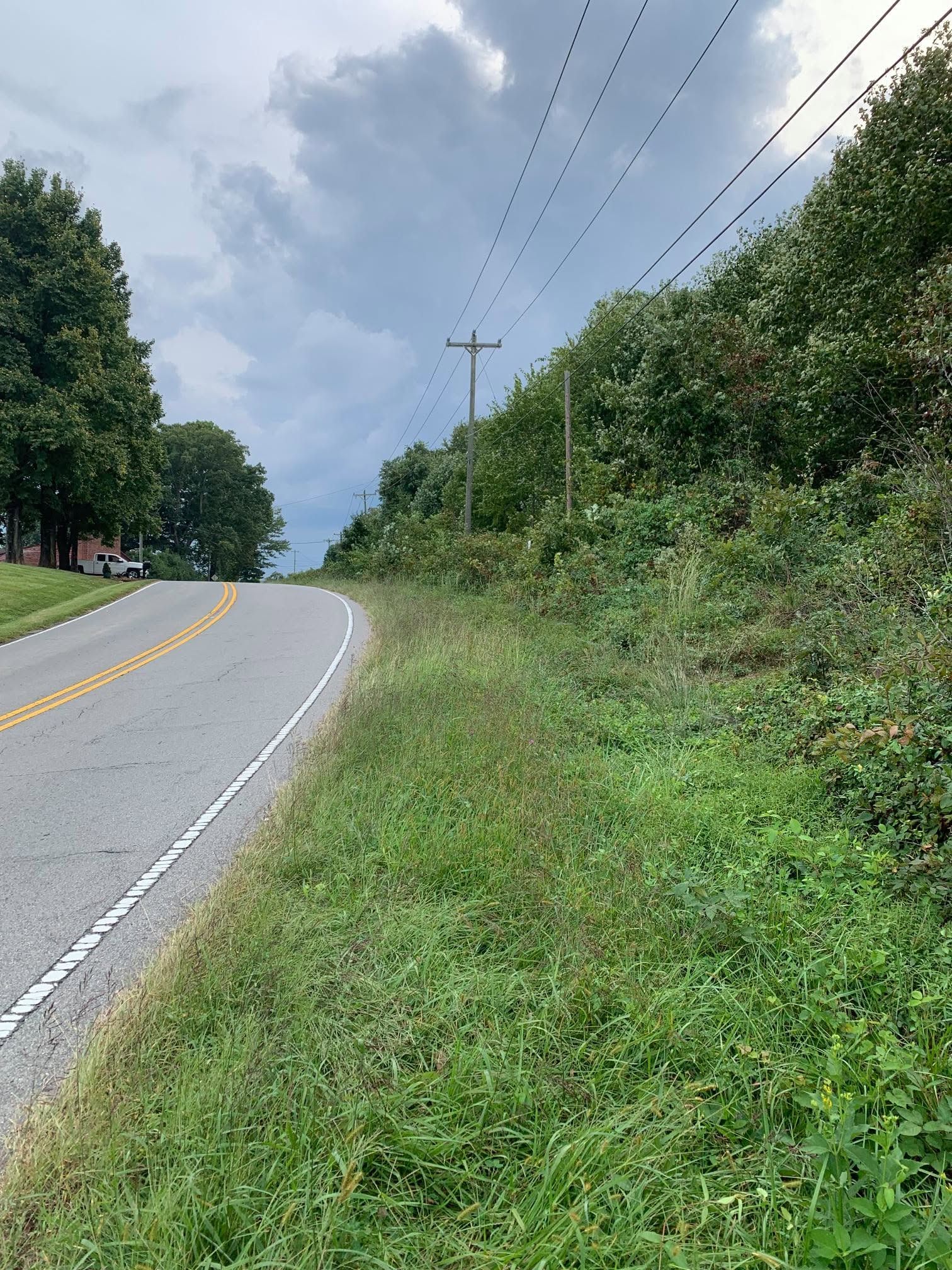 Empty rural road curving left beside green roadside brush under a cloudy sky
