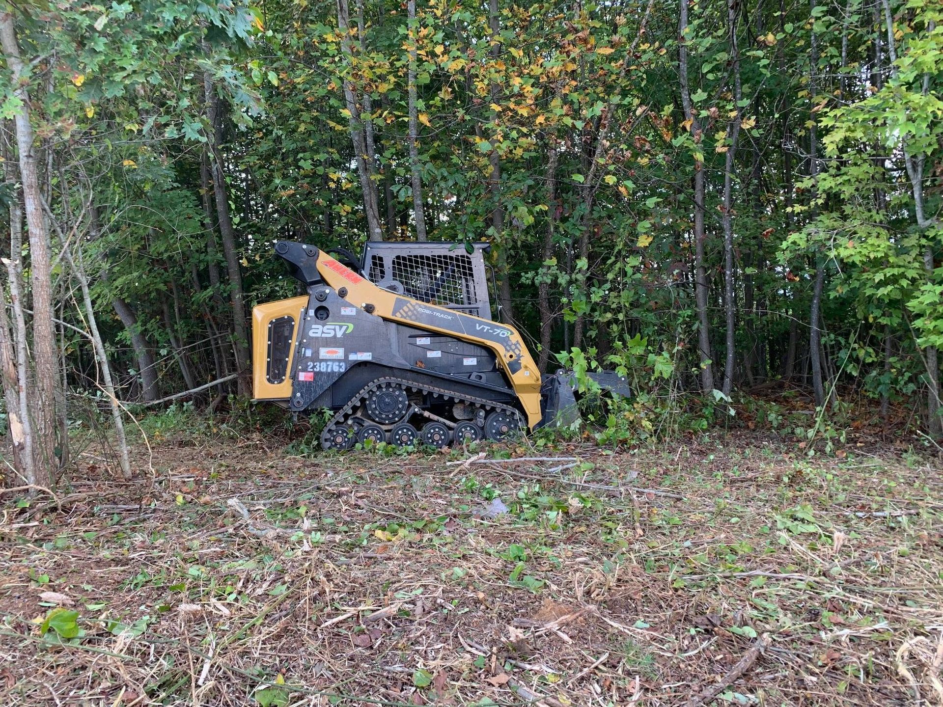 Compact excavator clearing brush at the edge of a wooded area