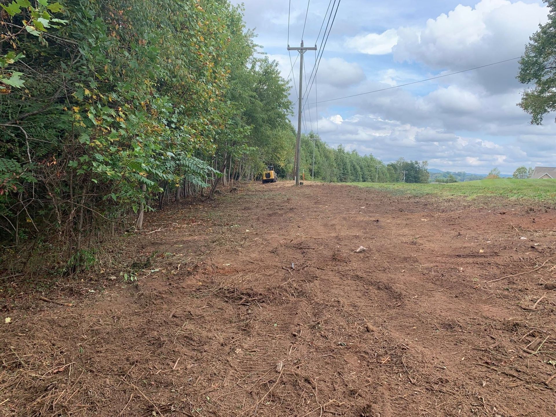 Dirt road beside dense green trees under a cloudy sky