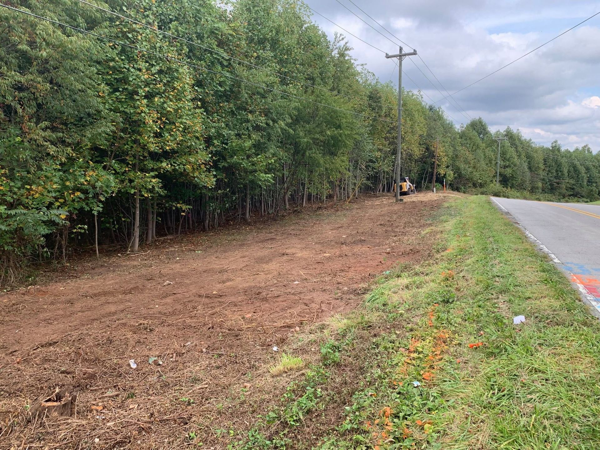 Cleared roadside embankment beside a line of trees and a paved road under cloudy skies