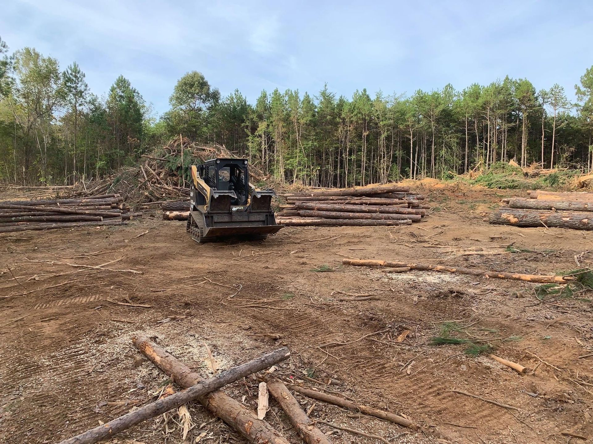 Bulldozer clearing felled logs in a wooded clearing
