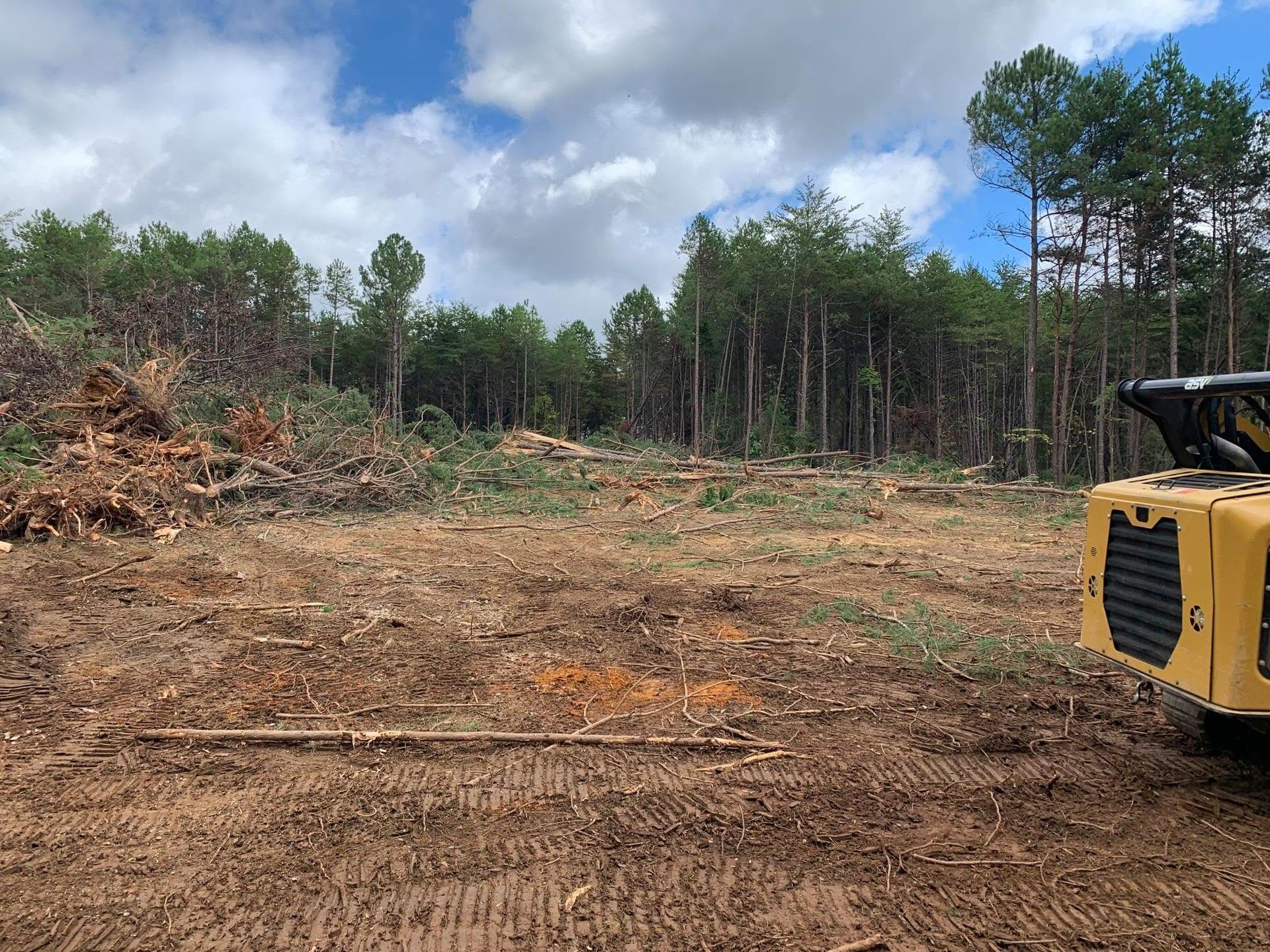 Cleared dirt lot beside a pine forest, with a yellow bulldozer at the right edge and cloudy sky above