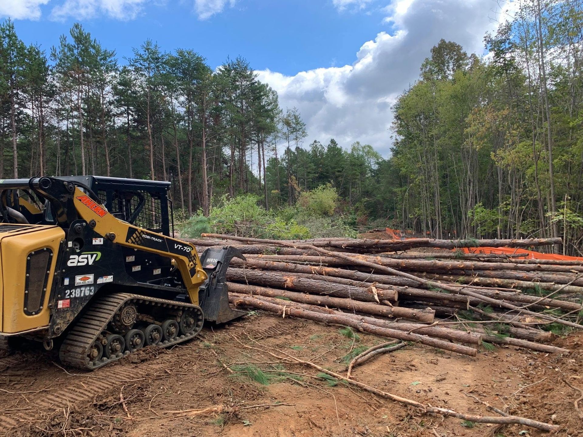 Tracked loader moving cut logs in a cleared forest under a blue sky