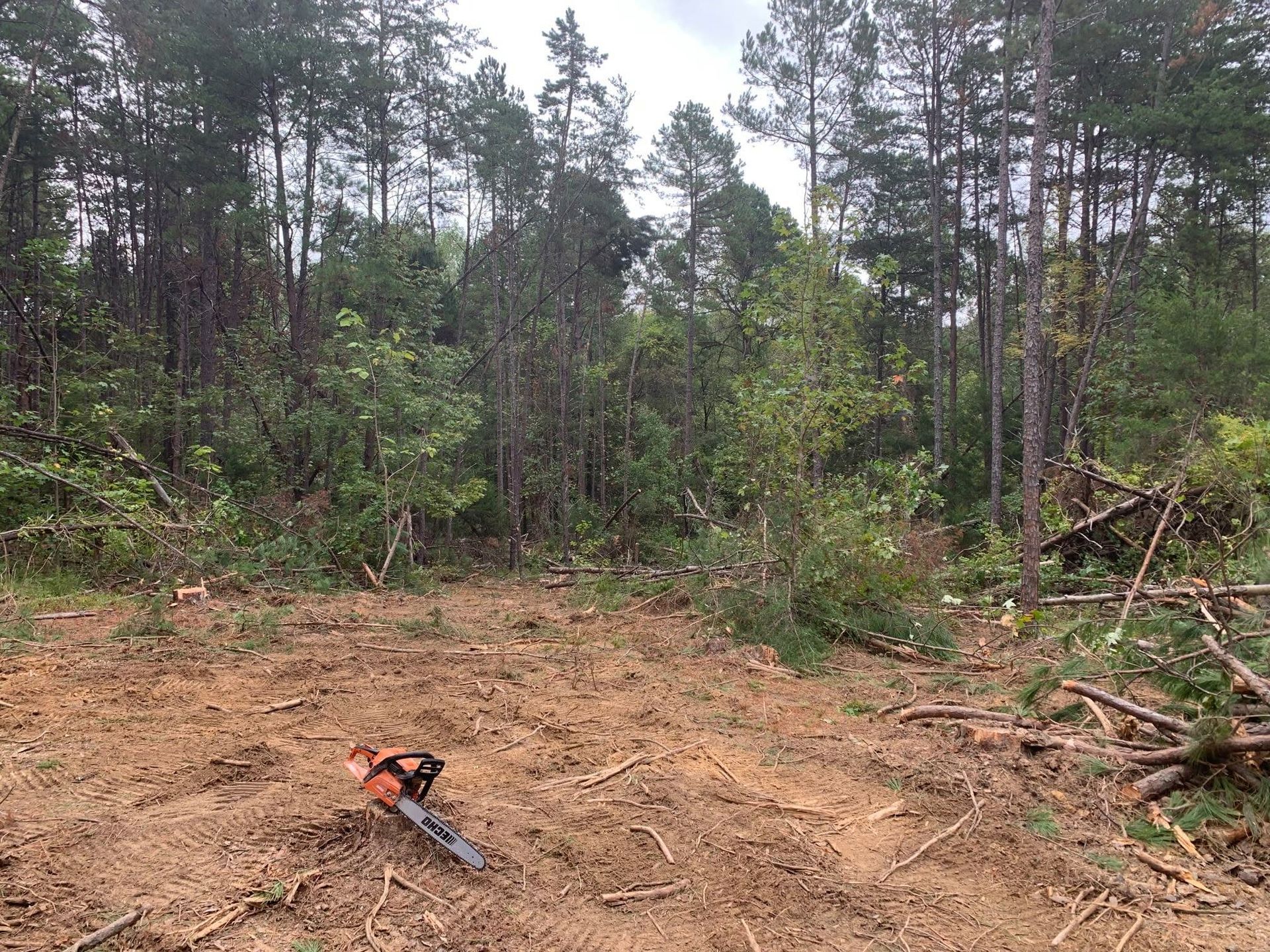 Cleared forest lot with a chainsaw on the ground and trees standing at the edge of the clearing