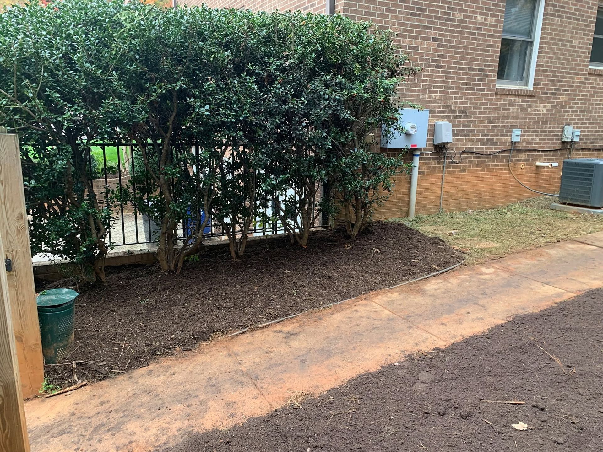 Trimmed hedge beside a brick building and dirt path, with a small green gate visible behind the hedge.