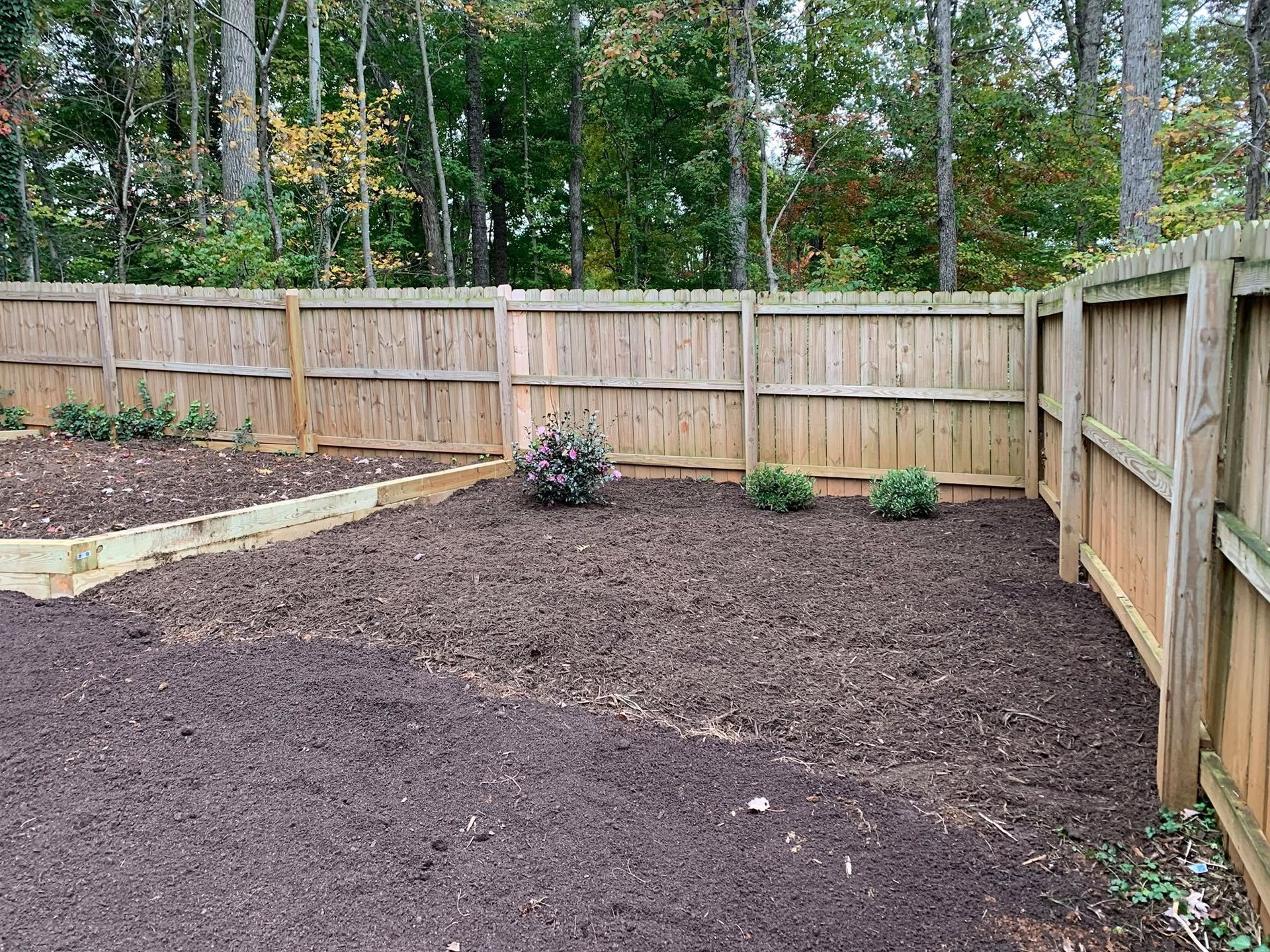 Wooden-fenced backyard with fresh mulch, small plants, and trees beyond the fence.