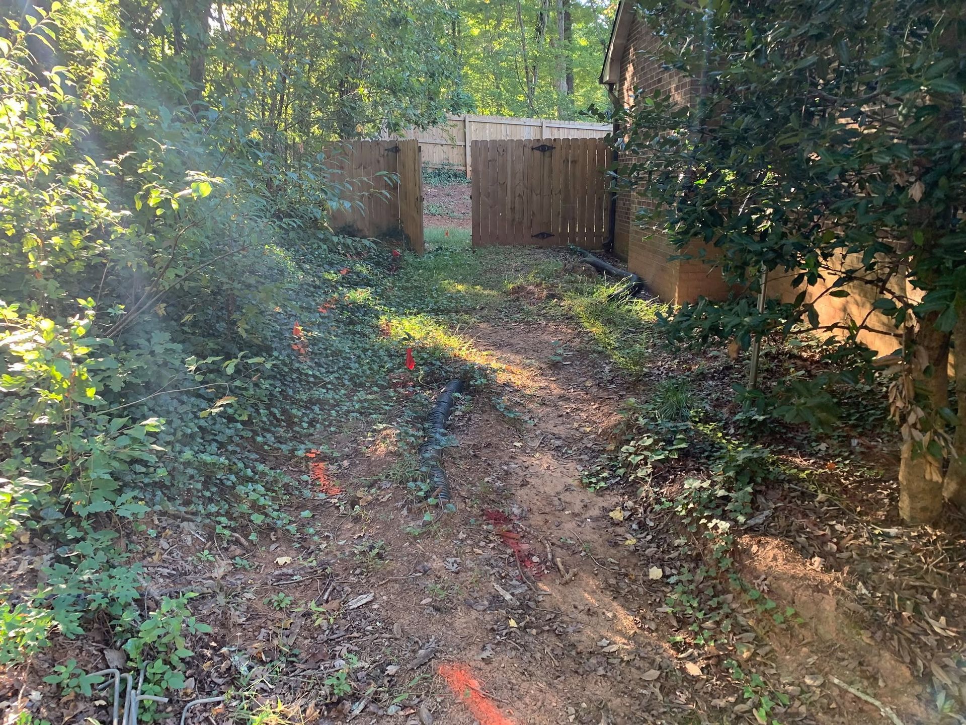 Wooded backyard path leading to a closed wooden gate, with sunlight and dense greenery.