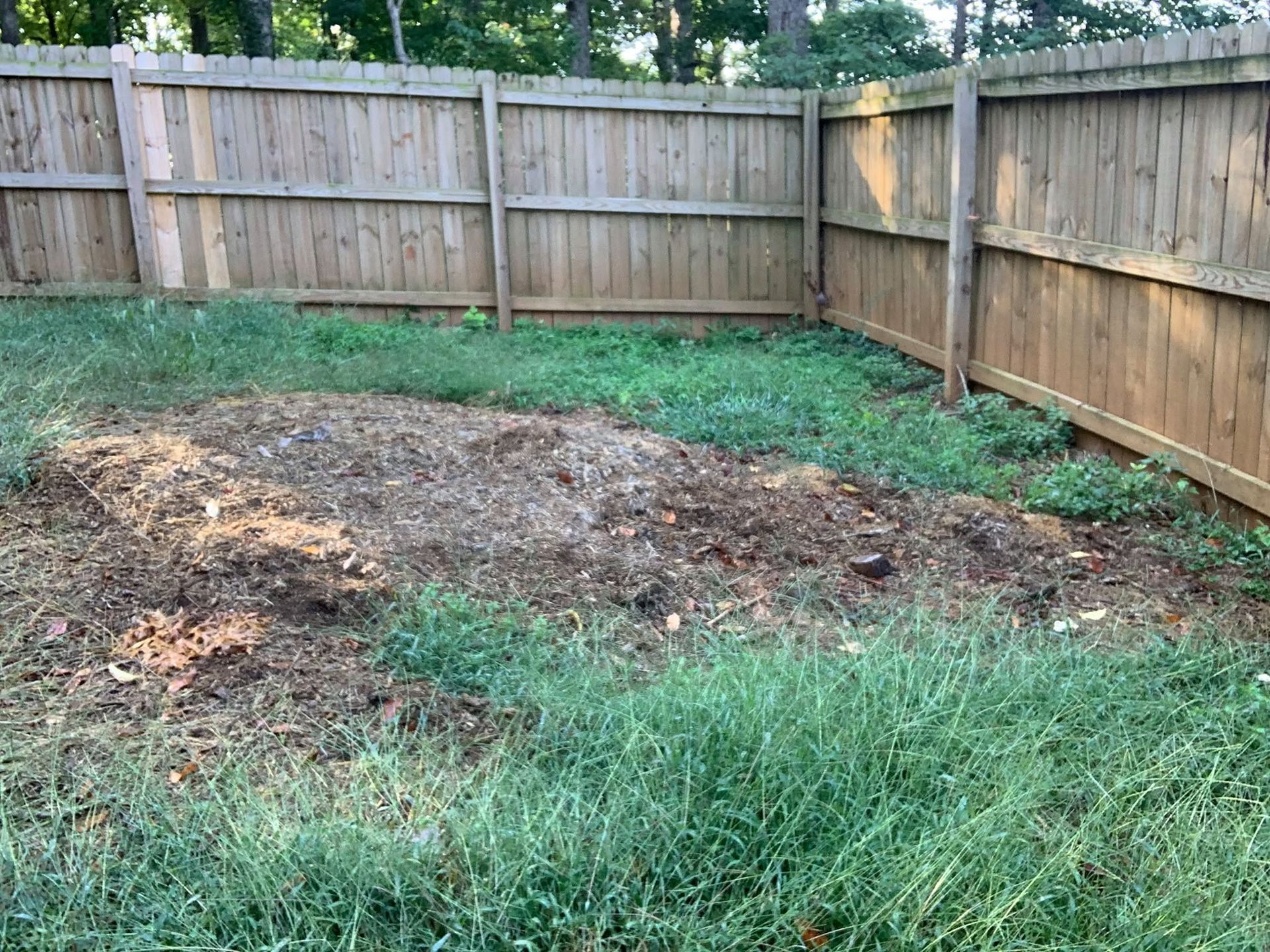 Backyard with a fenced yard and a bare dirt patch surrounded by grass and weeds