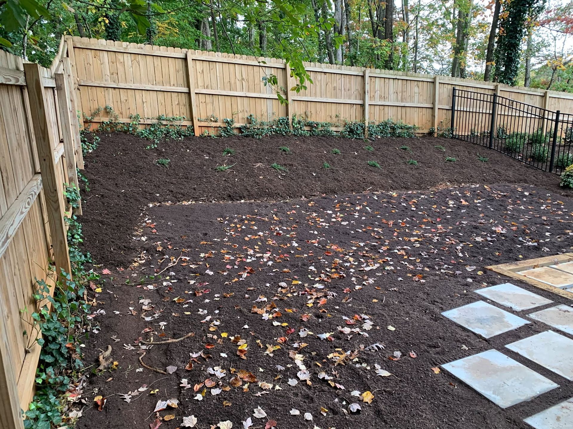 Backyard garden bed with dark soil, wooden fence, trees, and stepping stones on the right