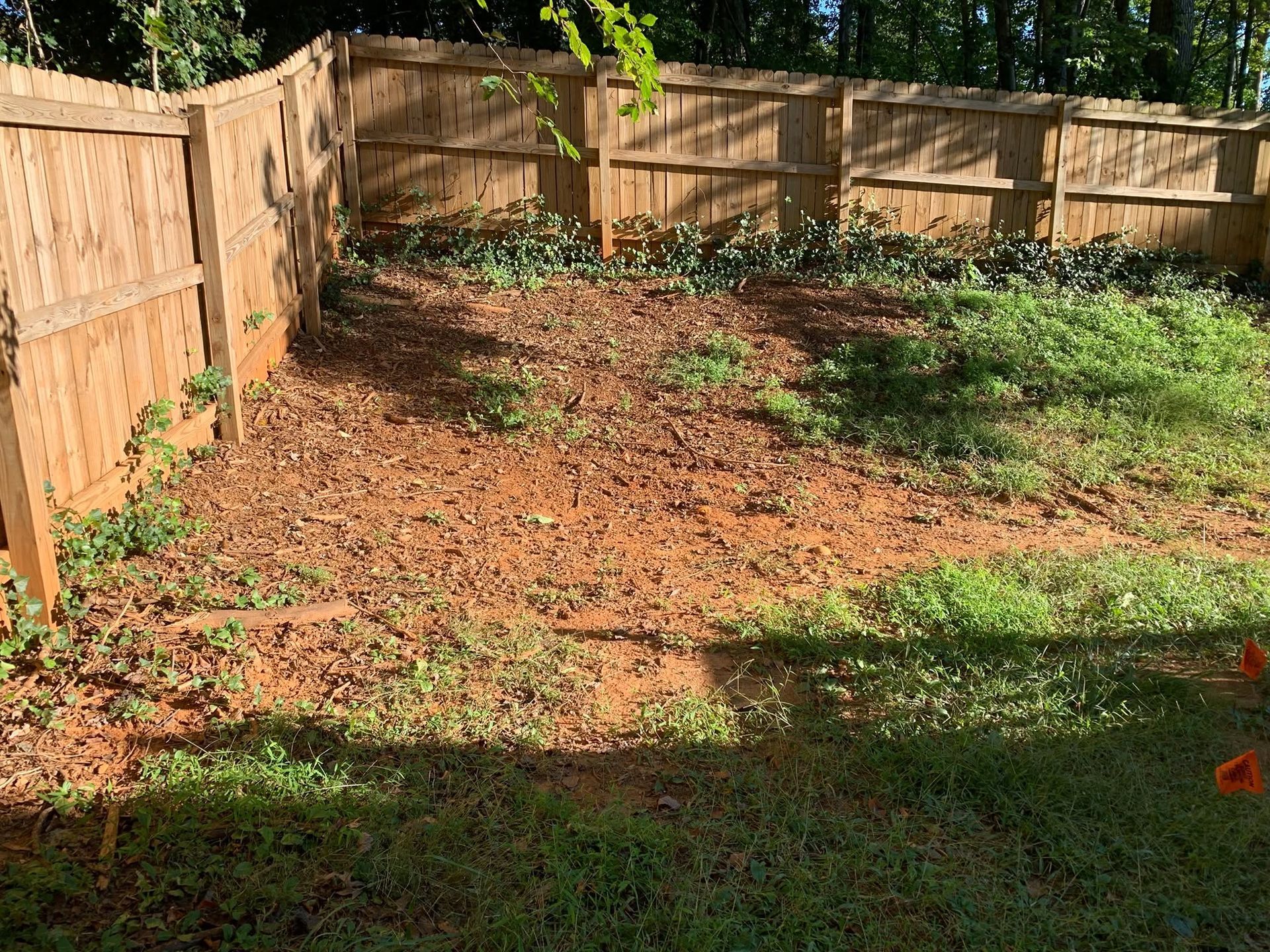Backyard with wooden fence, patchy grass, and a large bare dirt area in sunlight
