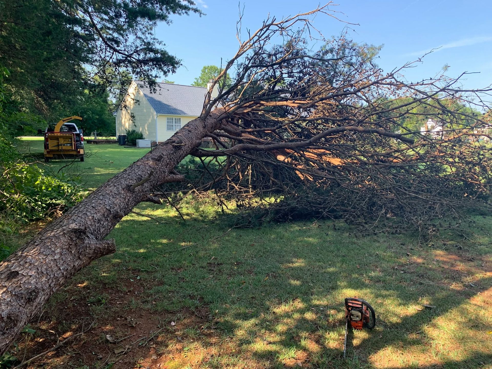 Fallen tree across a grassy yard, with a chainsaw in the foreground and a yellow vehicle in the background.