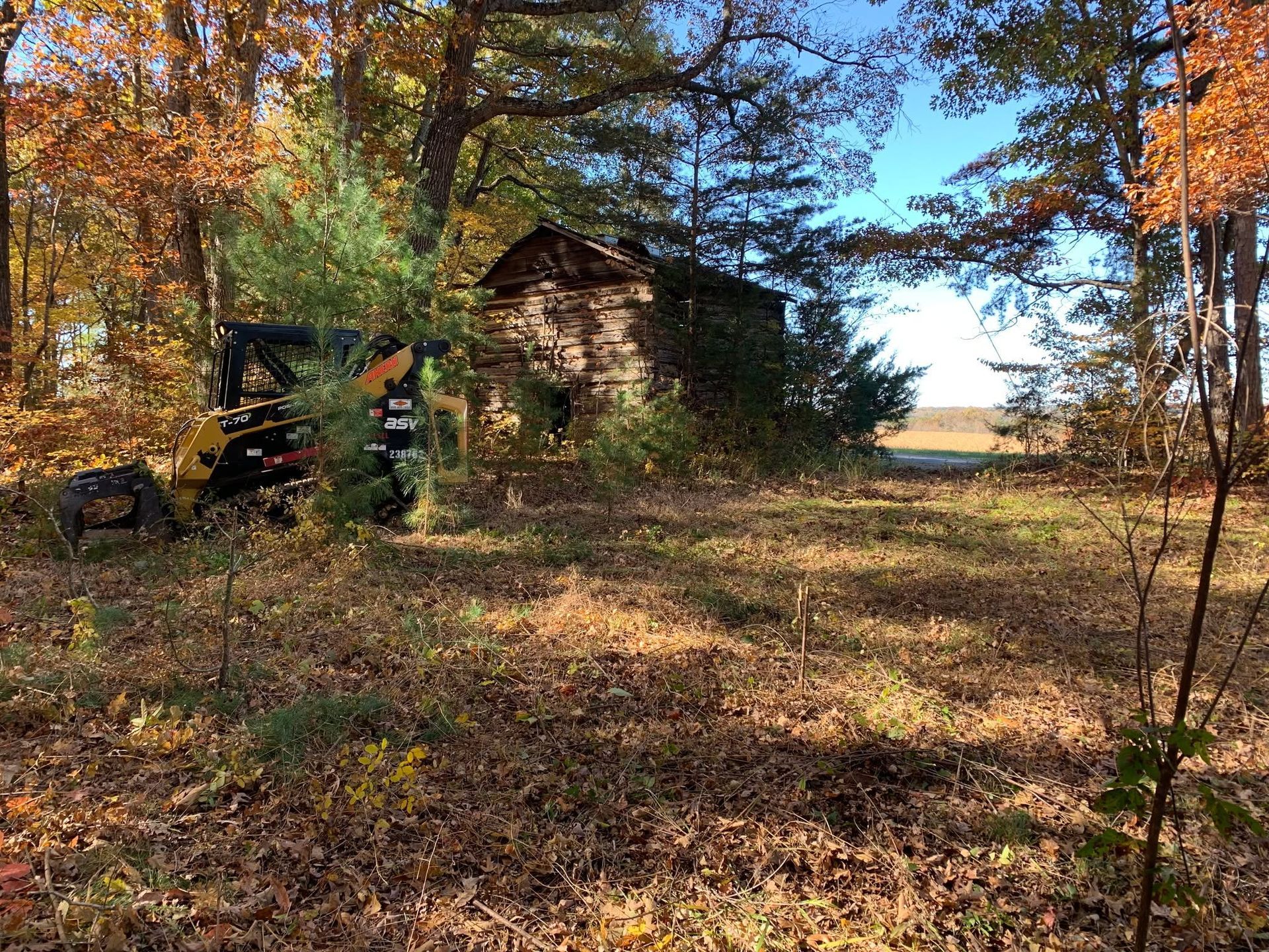 Old wooden cabin in a fall forest clearing with orange leaves and a rustic gate on the left