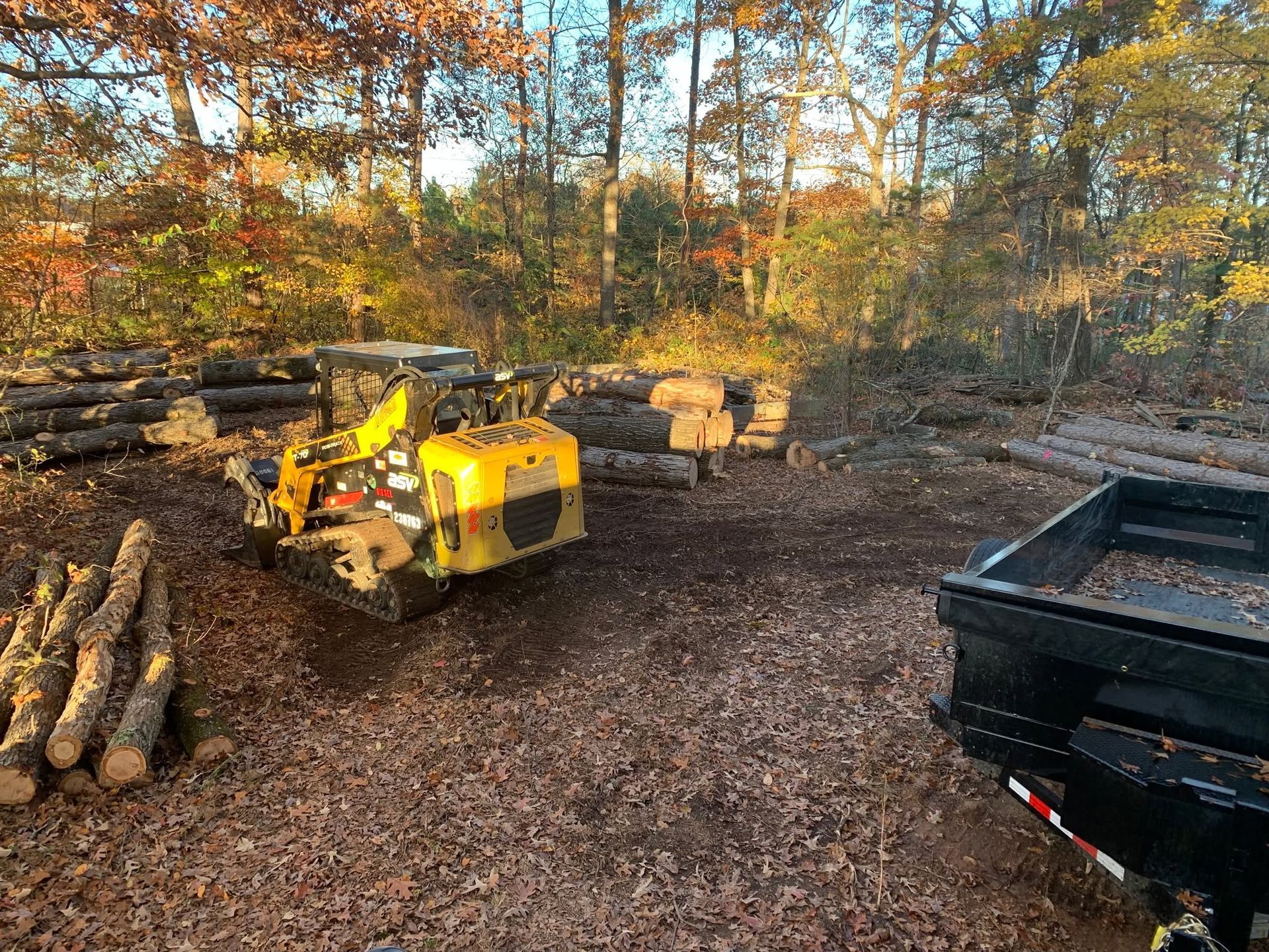 Yellow wood chipper beside stacked logs in a wooded yard, with a black trailer in the foreground.