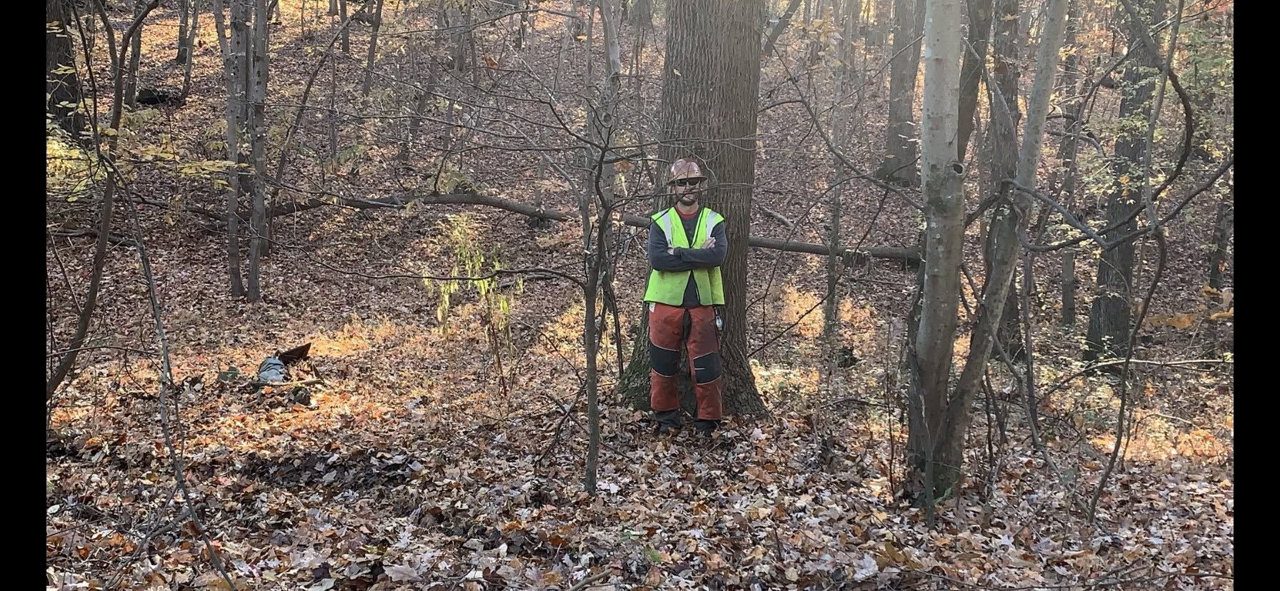 Person in neon safety vest standing in a leaf-covered forest among bare trees.