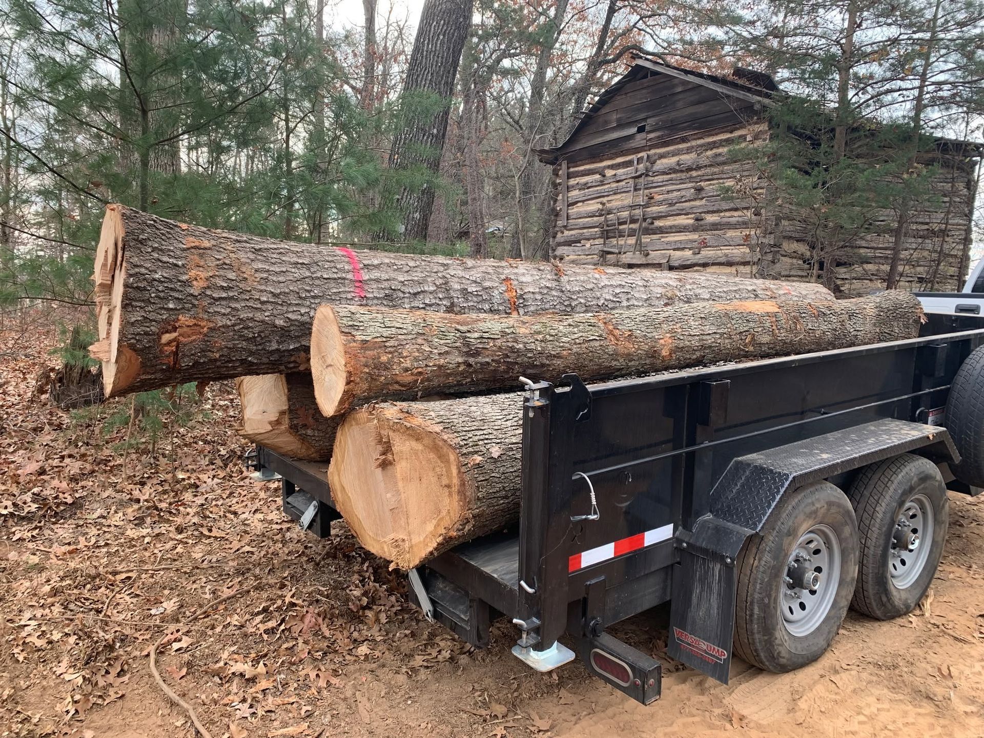 Black utility trailer loaded with large cut logs in a wooded area
